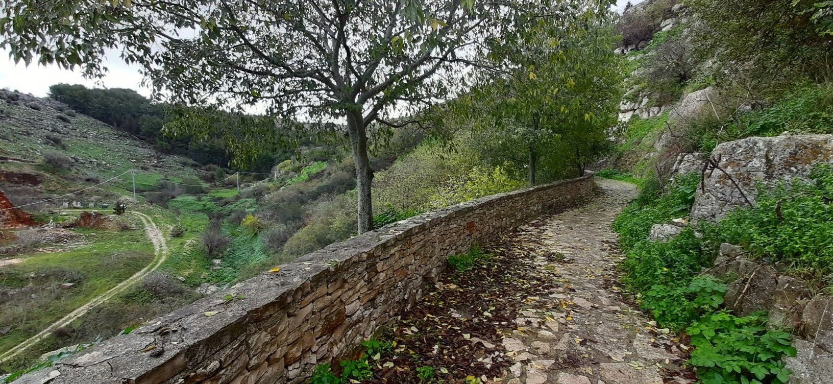 strada panoramica sulla lama di Minervino