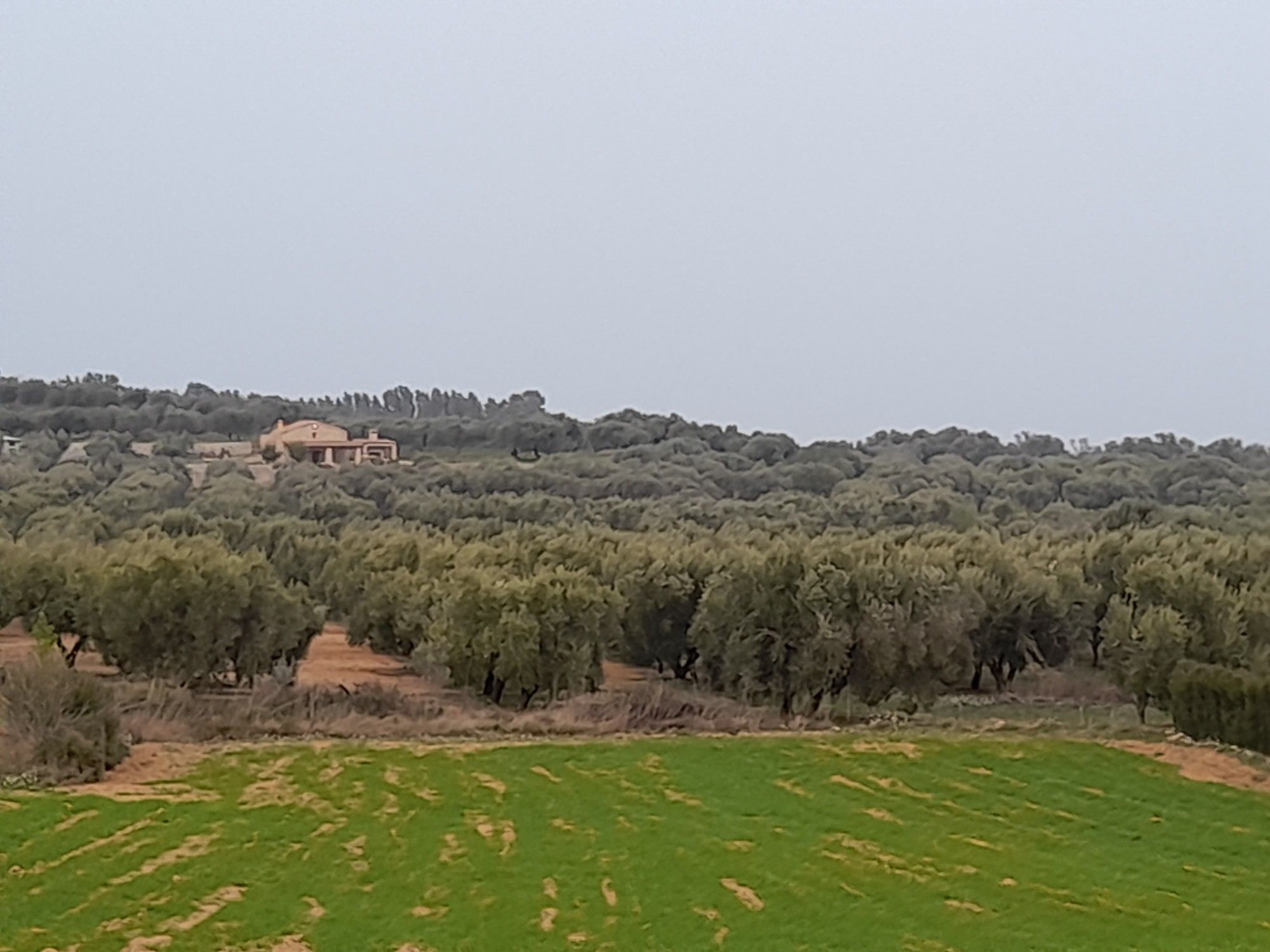 vistas 1