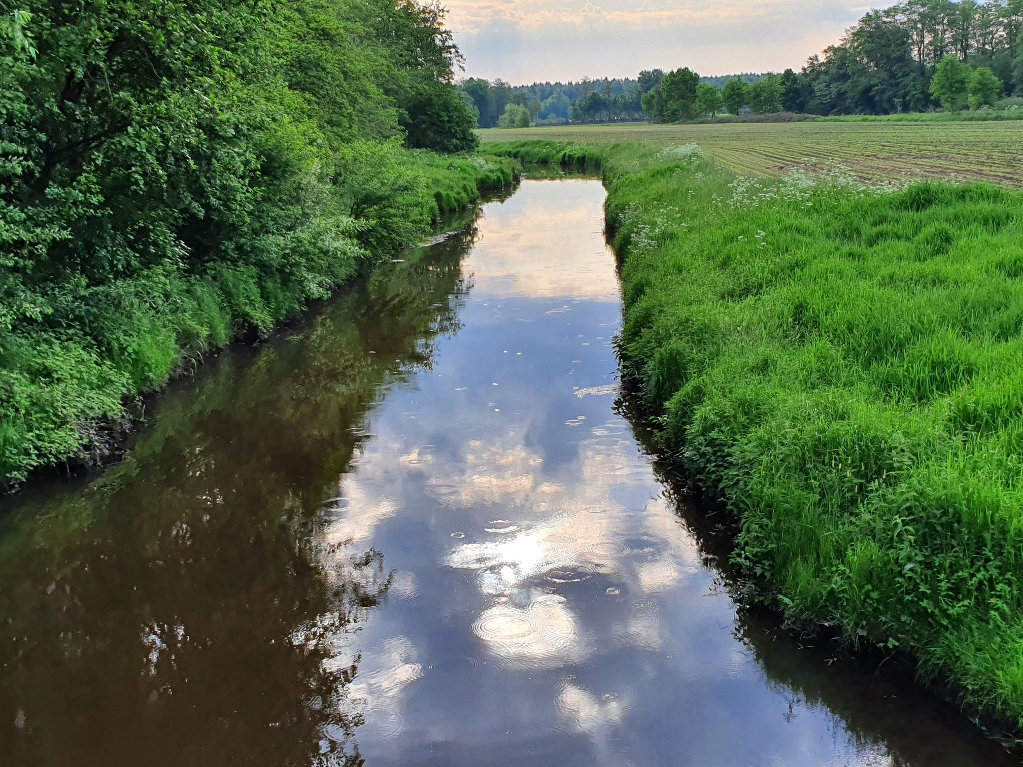 An der Südradde bei Hüven.
