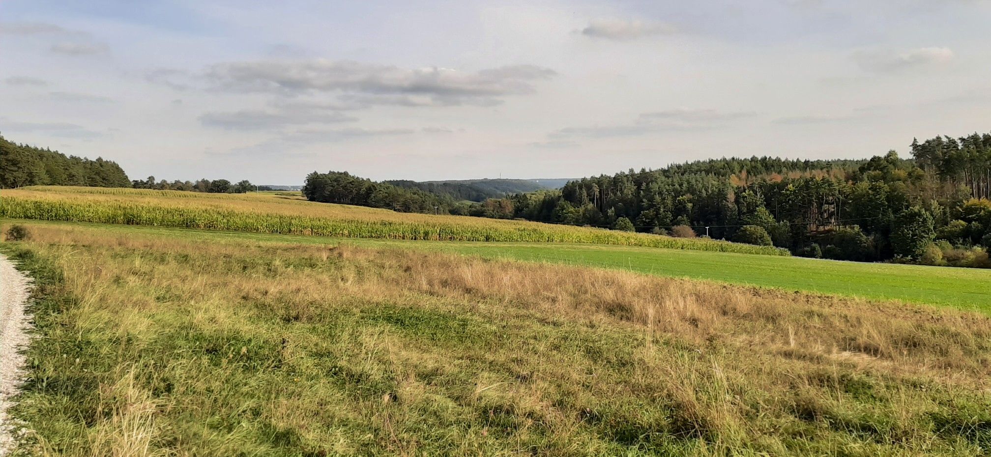 toller Weitblick 
