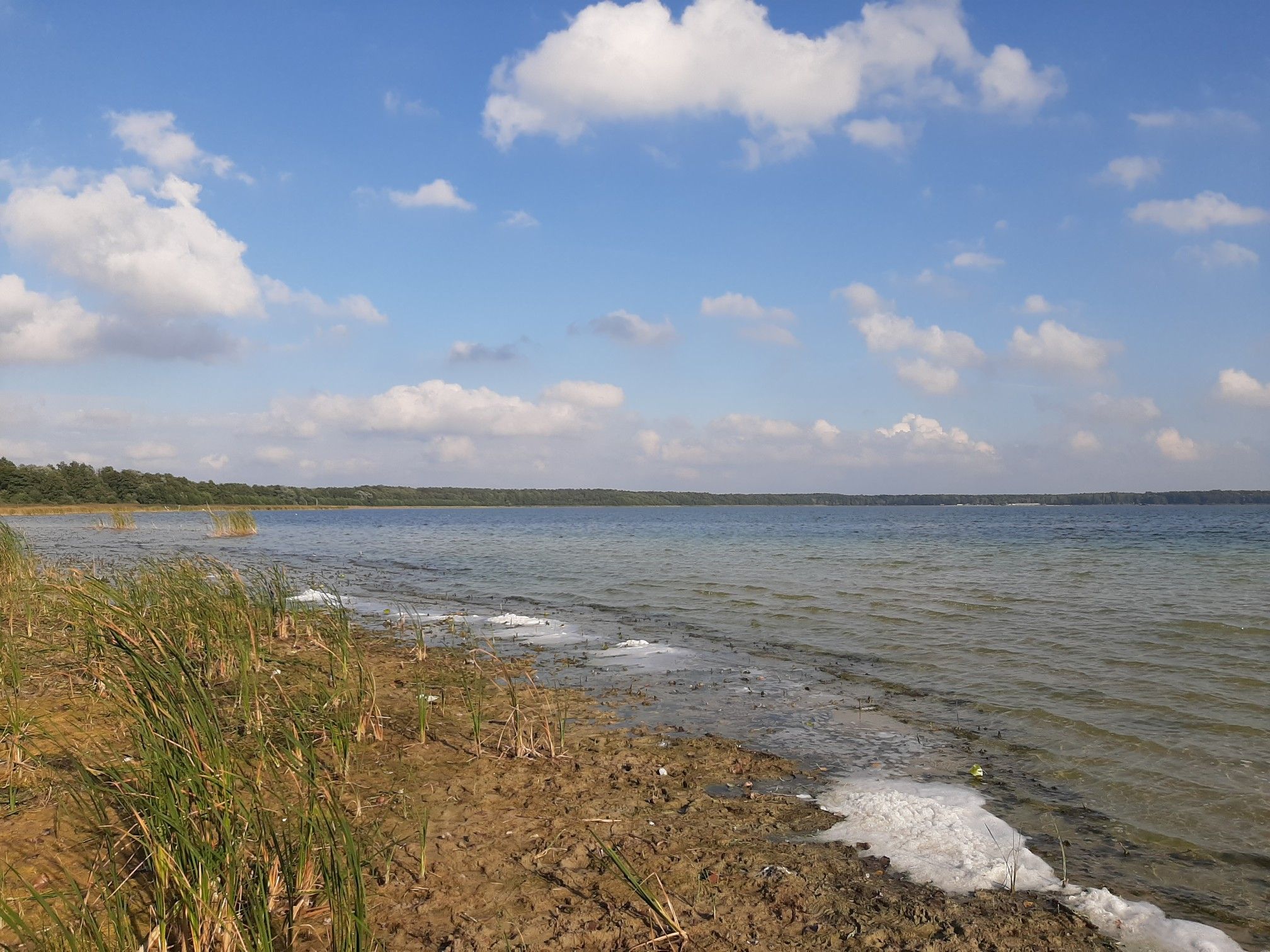 Der Aredensee