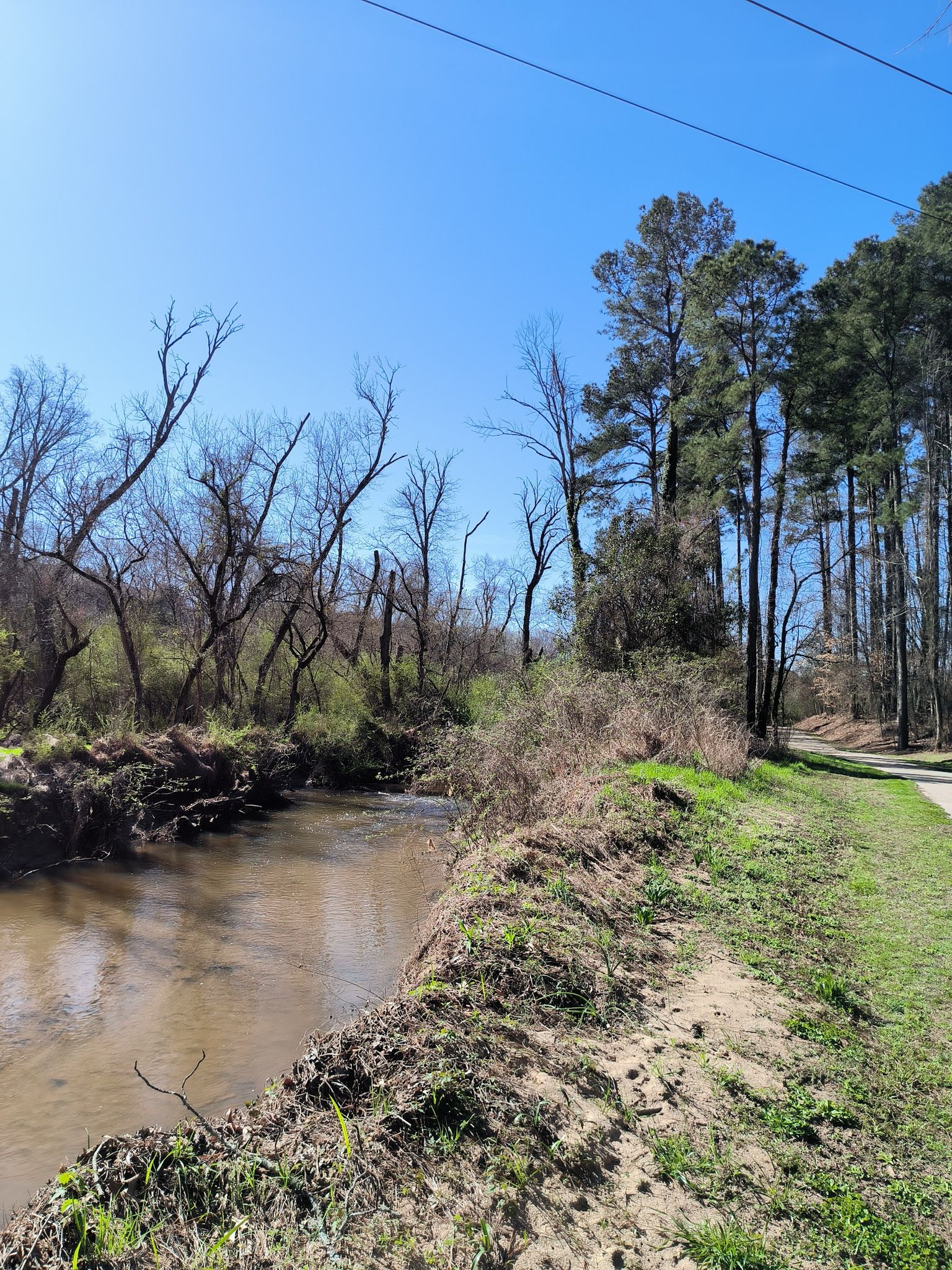 A narrow stream flows beside a dirt path under a bright blue sky. - Raleigh Greenway: Crabtree and Walnut Creek Loop