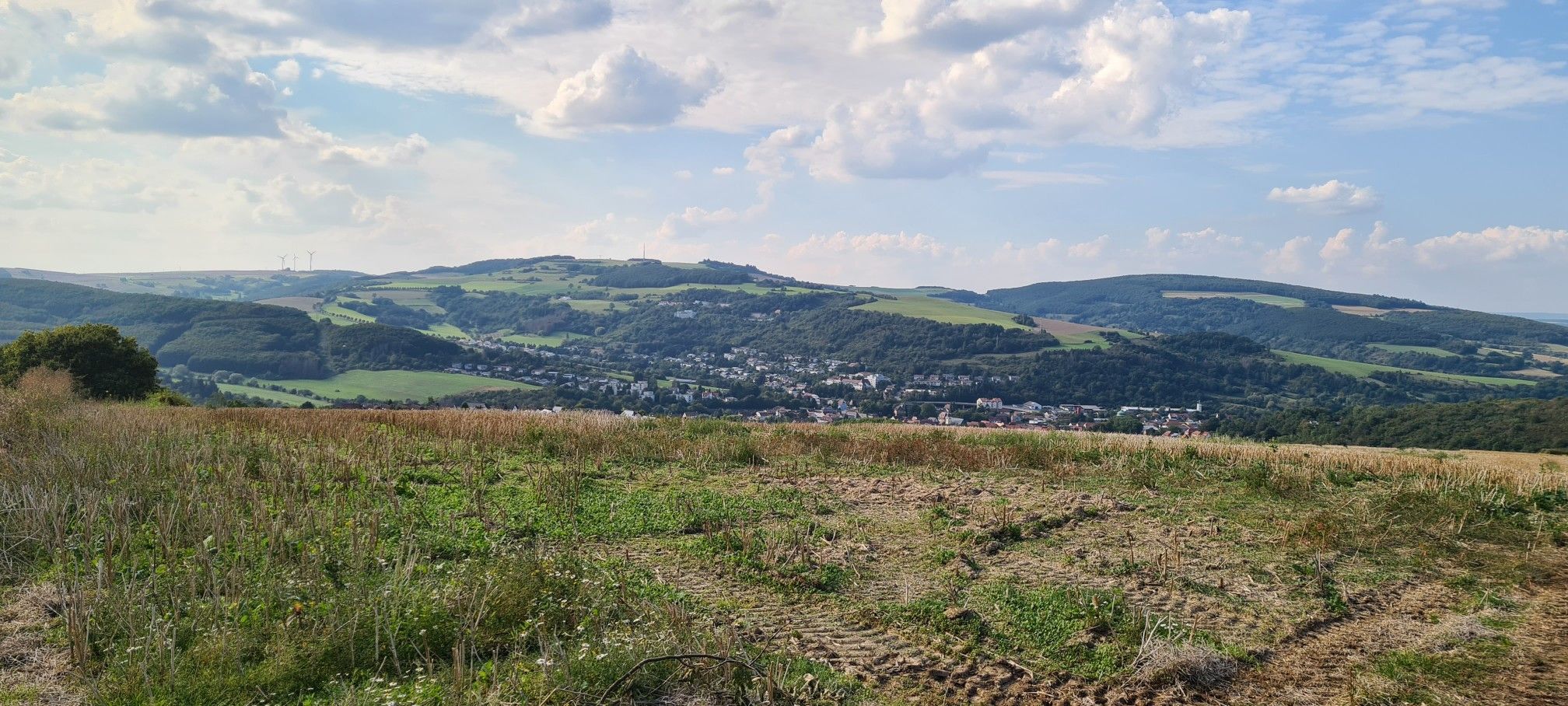 Rickenhausen