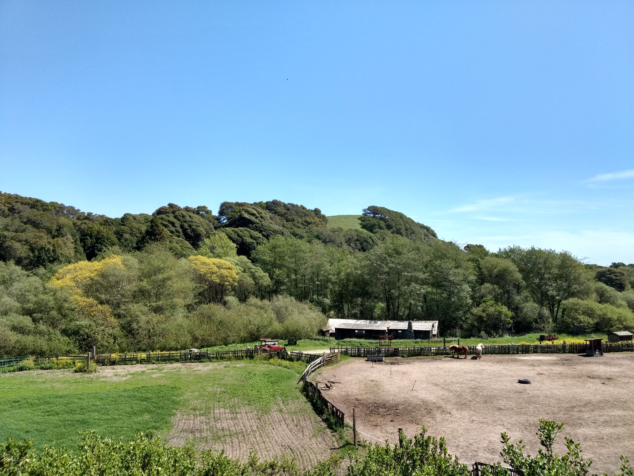 Horse corrals and a barn nestled in a green, wooded valley. - Wilder Ranch Bike Path – Seep Zone Nature Reserve loop from Swift Halt