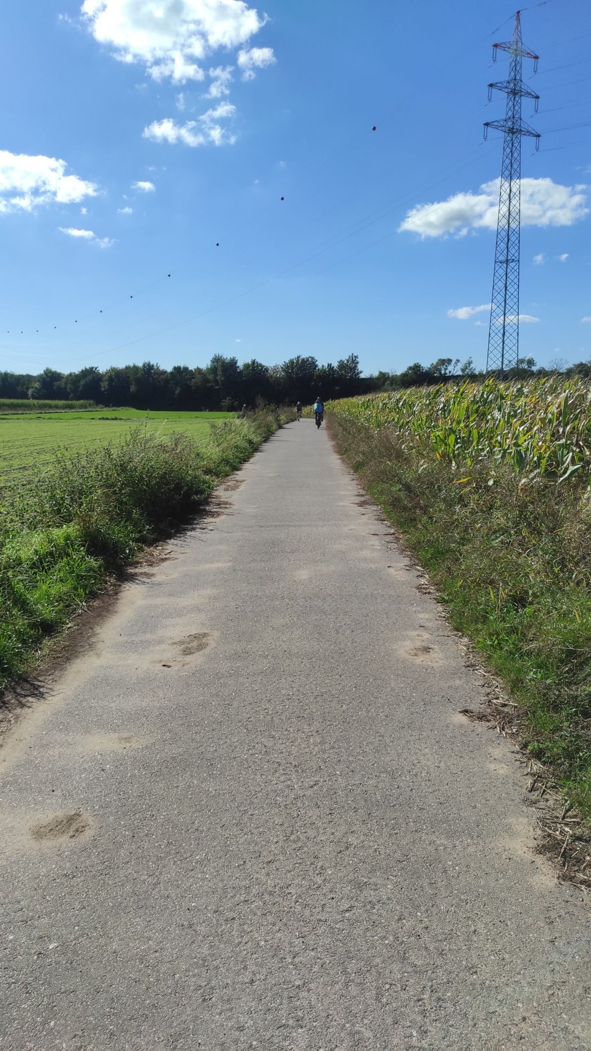 traumhafter Fahrradfeldweg
