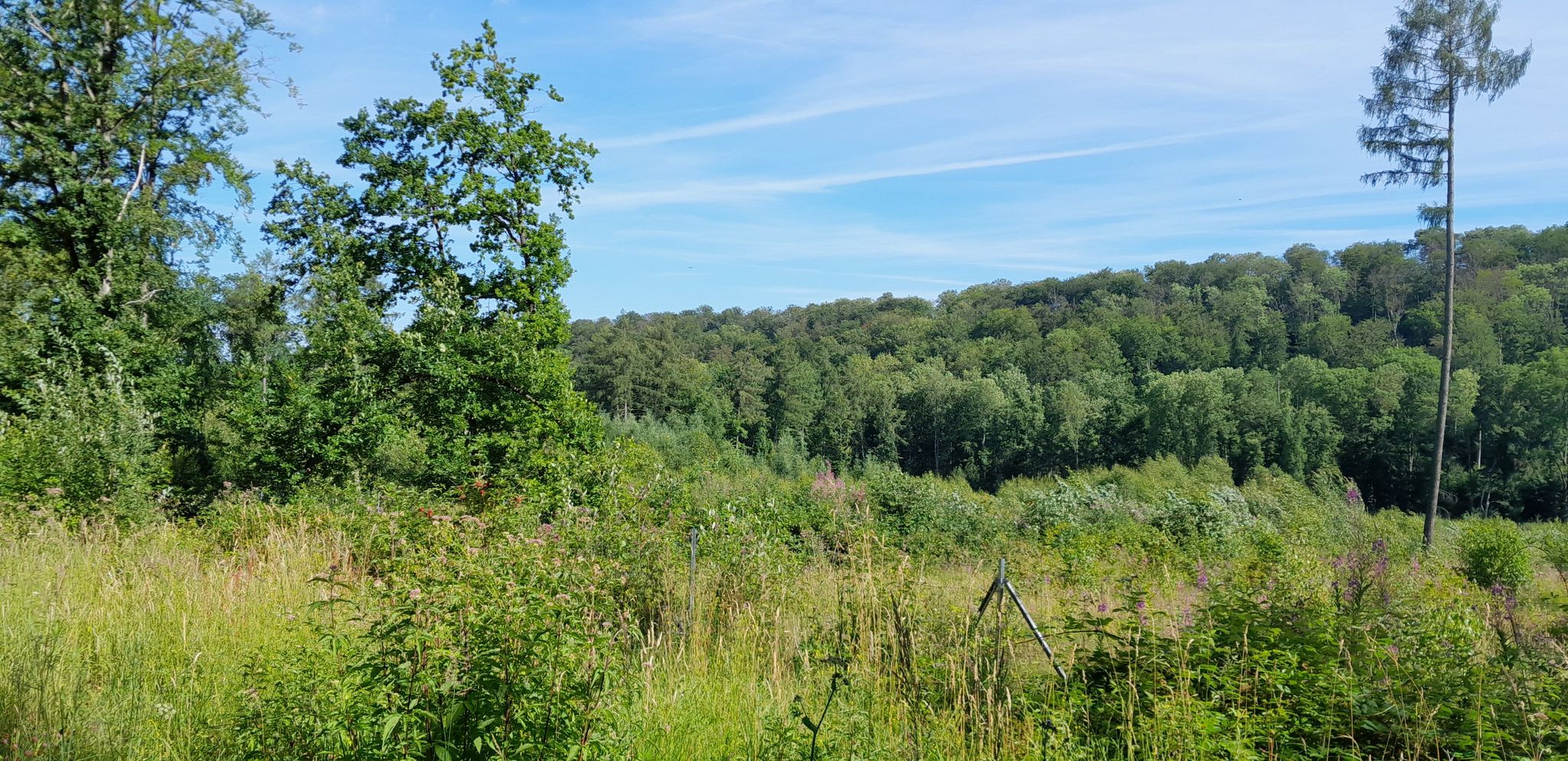 Blick zum Lith