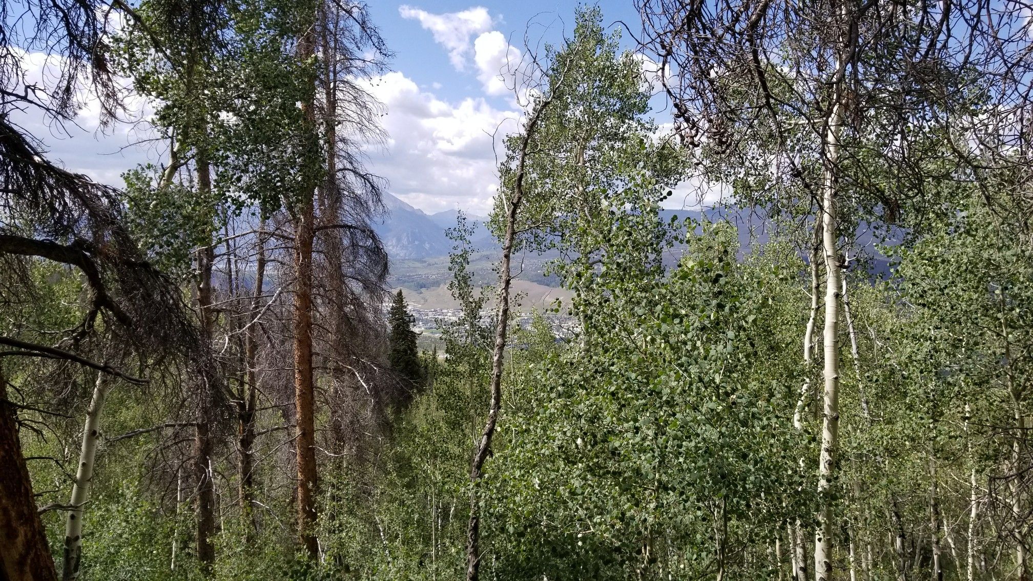 Forest view through aspen and pine trees, with mountains in the distance. - Hiking loop from Blue River Ranch Lakes