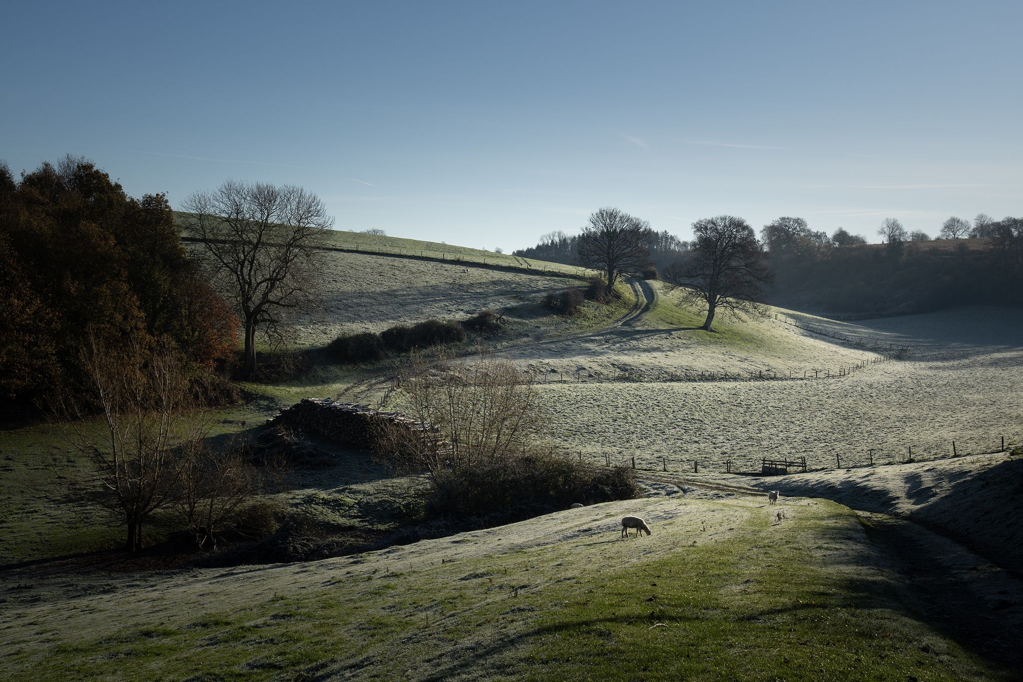 Herefordshire countryside