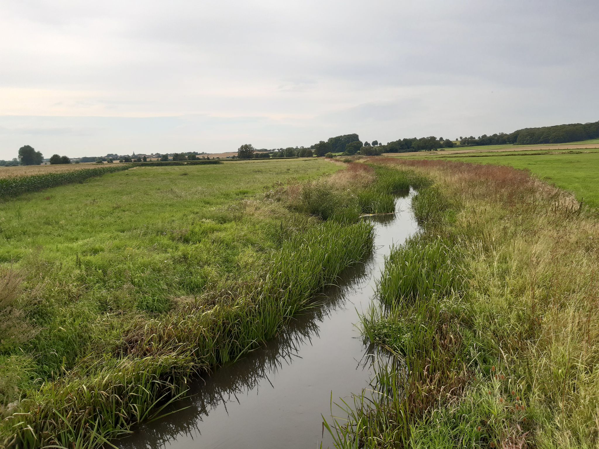 schunter mit Heiligendorf (li)
