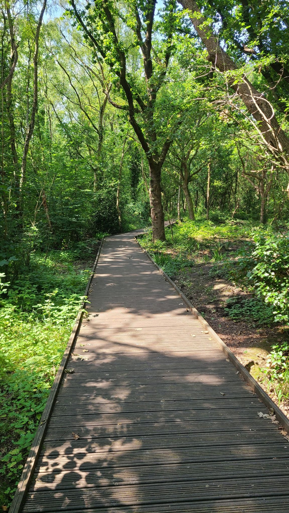 Boardwalk