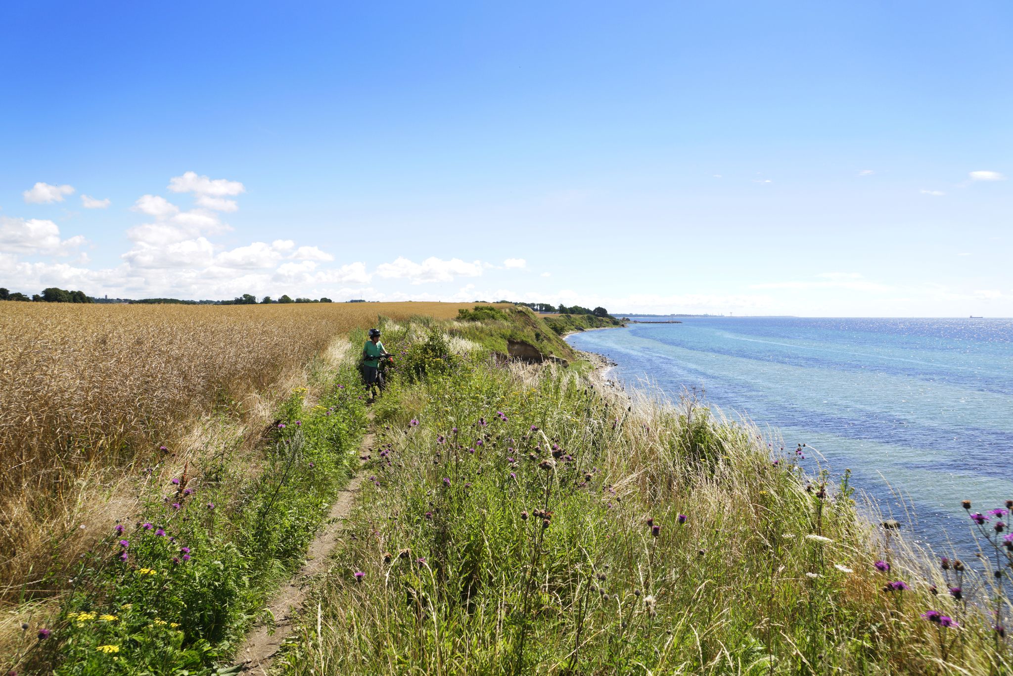 Der Weg entlang der Küste, eher ein MTB Singletrail