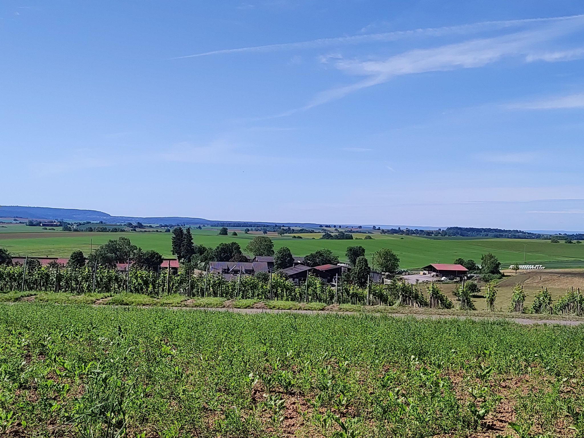 Elsenztal Siedlung