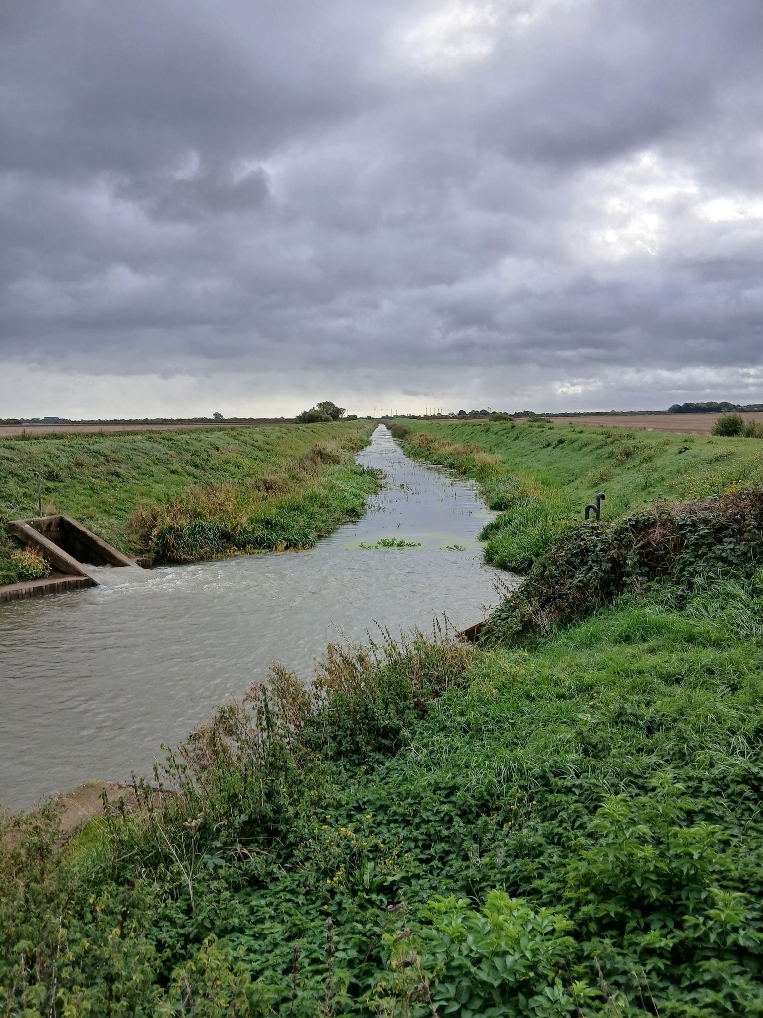 Louth canal