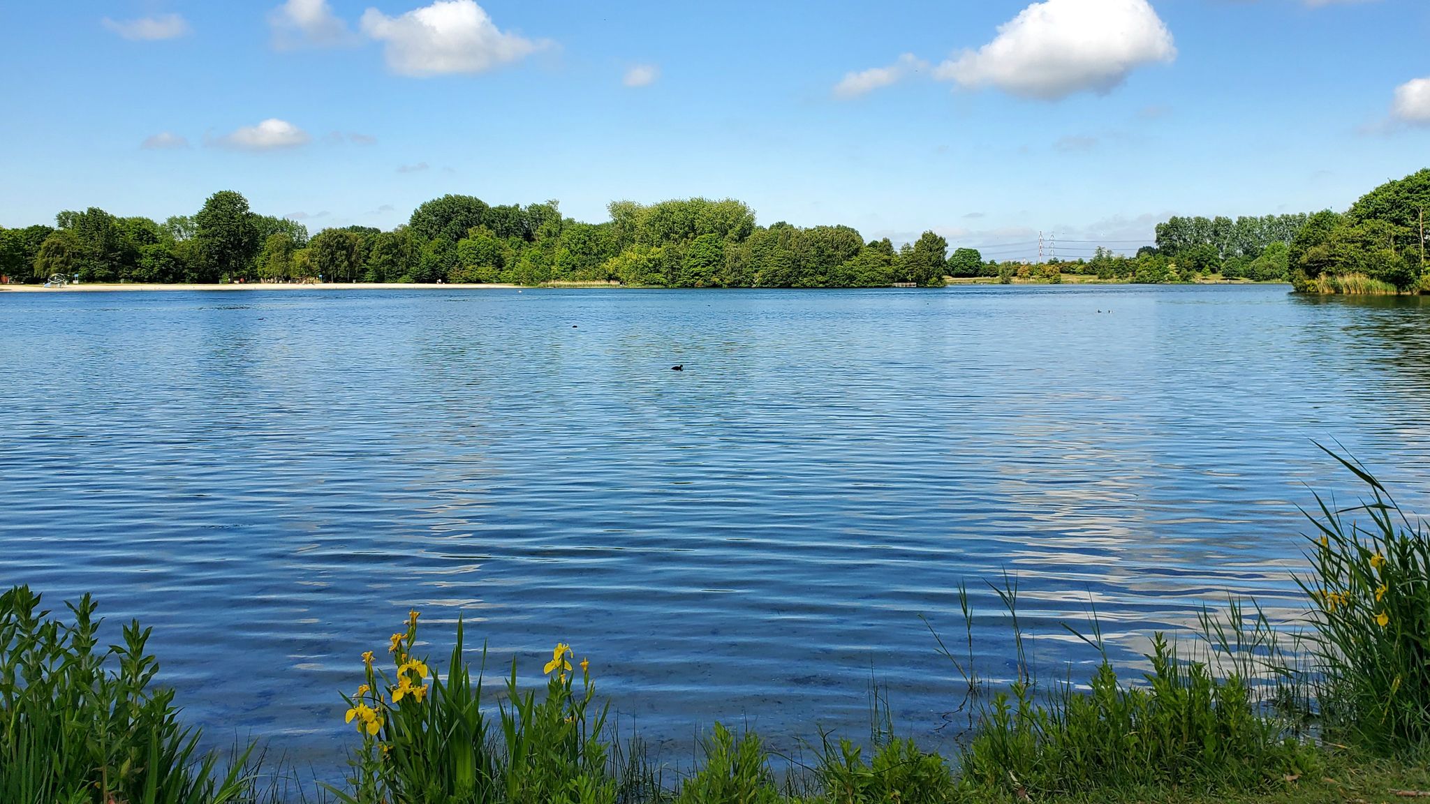 Recreatieplas, Haarlemmermeerse Bos, Hoofddorp