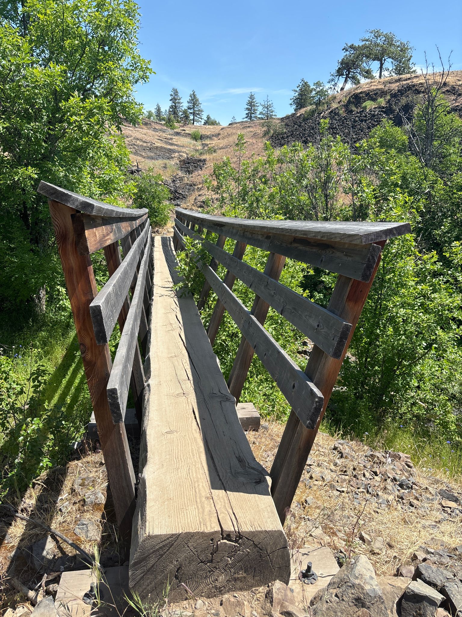 A rustic wooden footbridge crosses a rocky gully surrounded by green trees. - Tracy Hill Loop