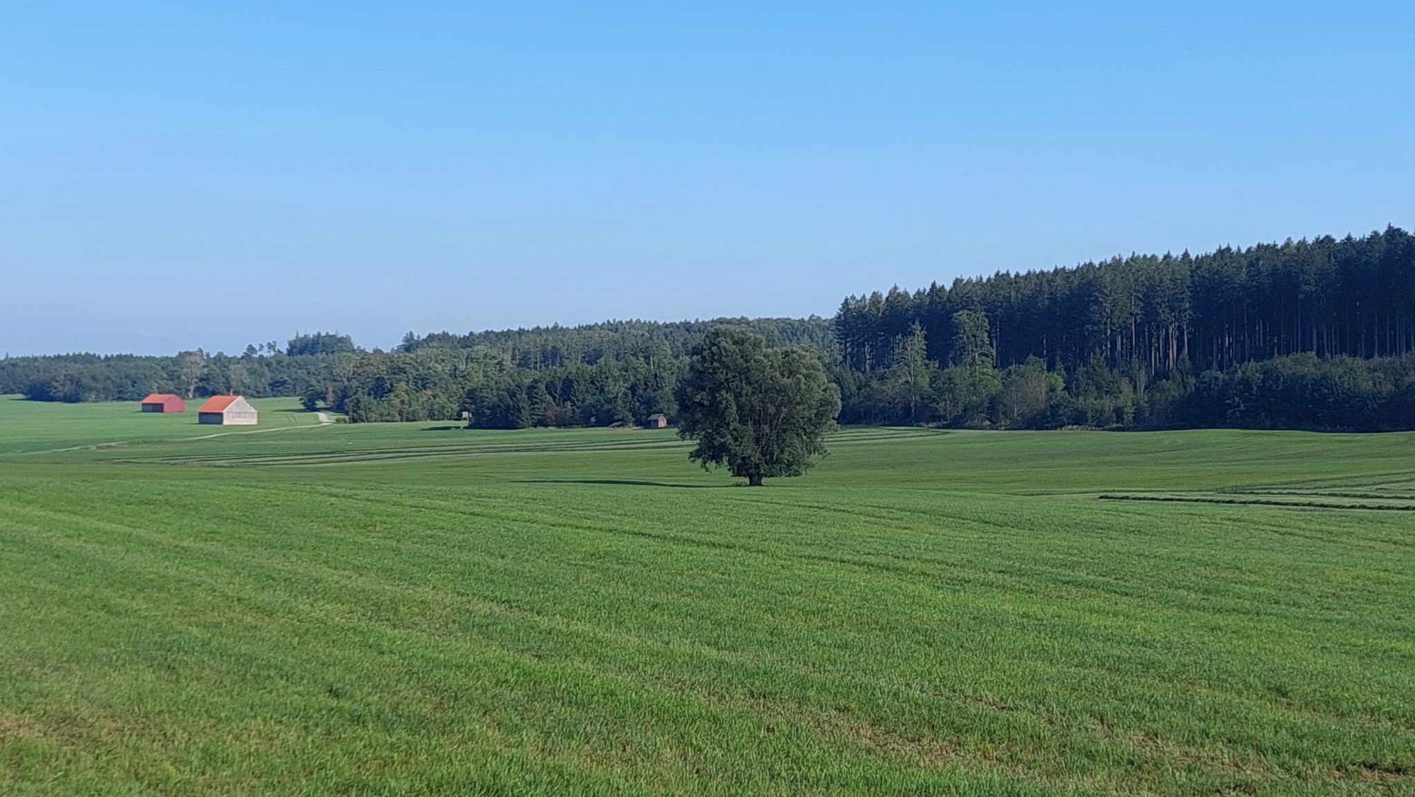 Unterallgäu halt 🌞