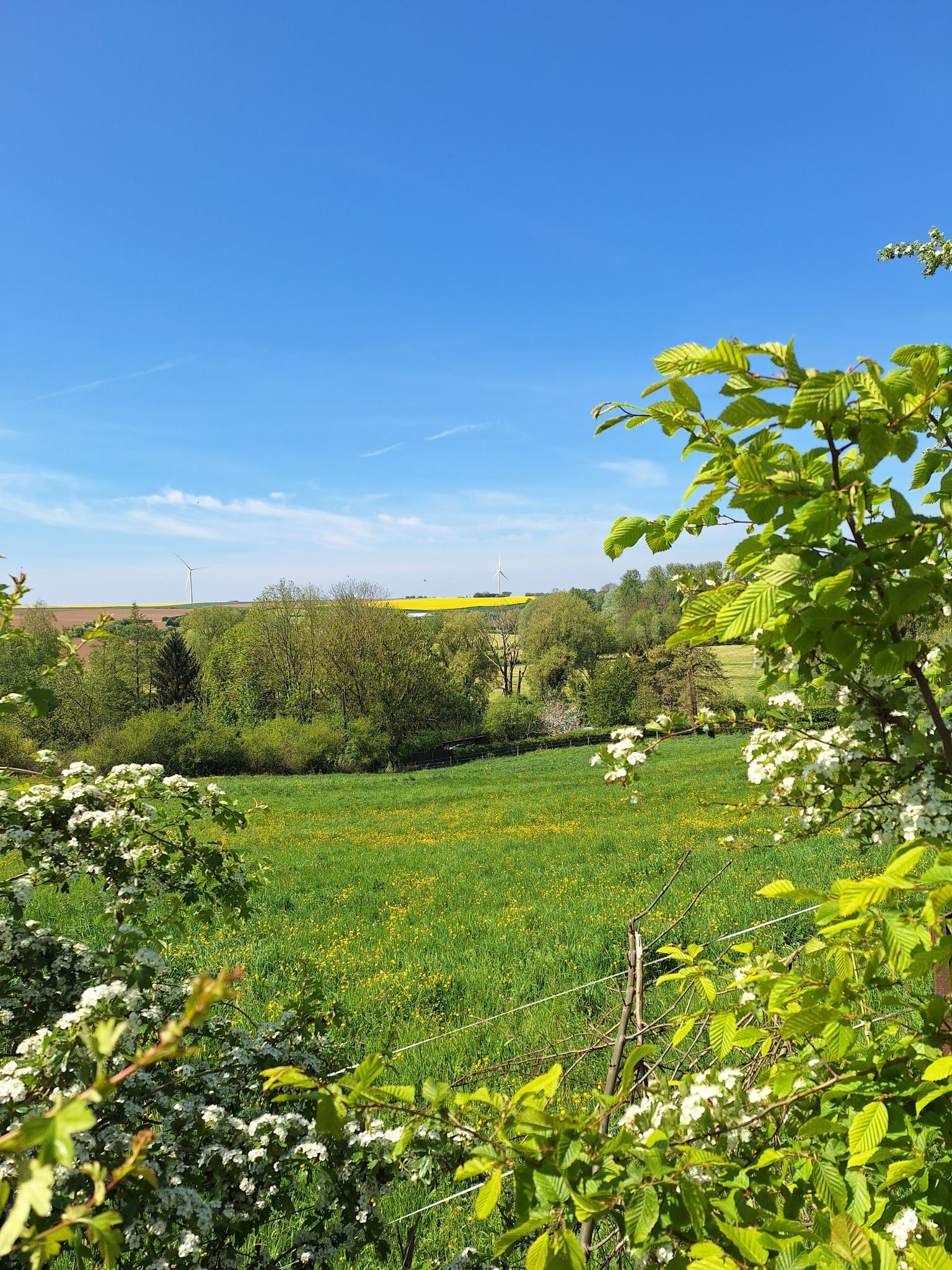 panorama