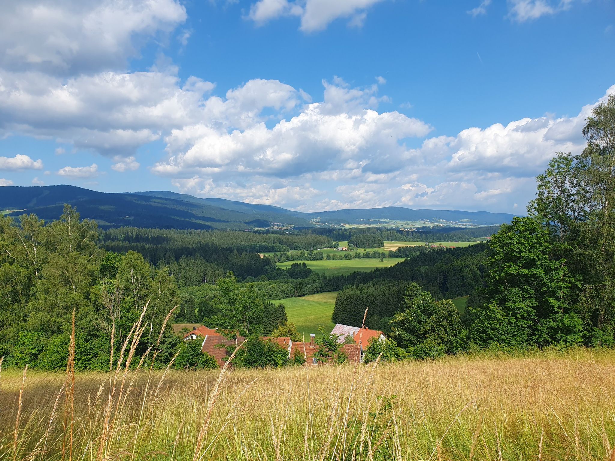 Blick von Breitenberg