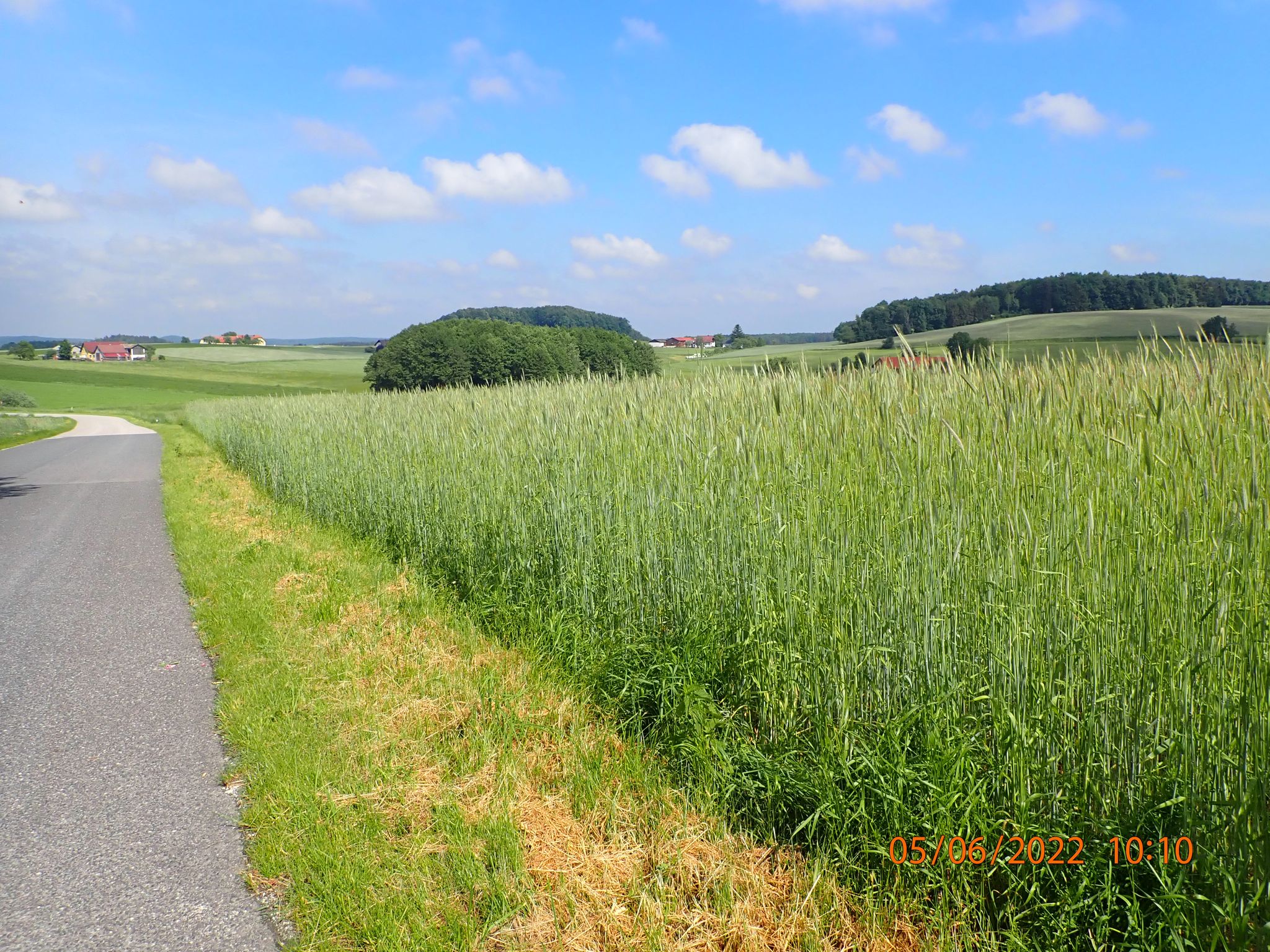 Waldviertel