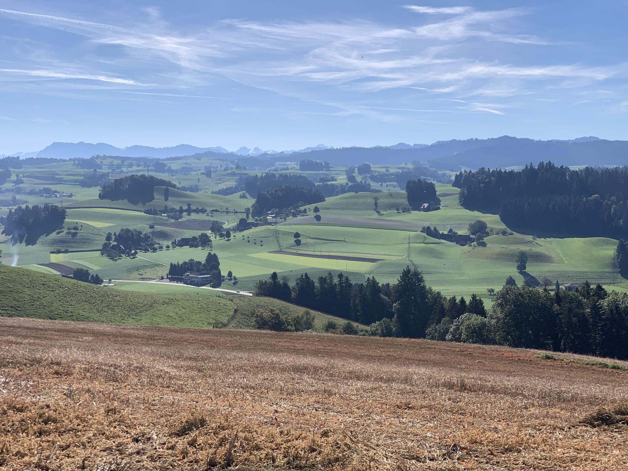 Pilatus und viele andere Höger, inkl. Napf