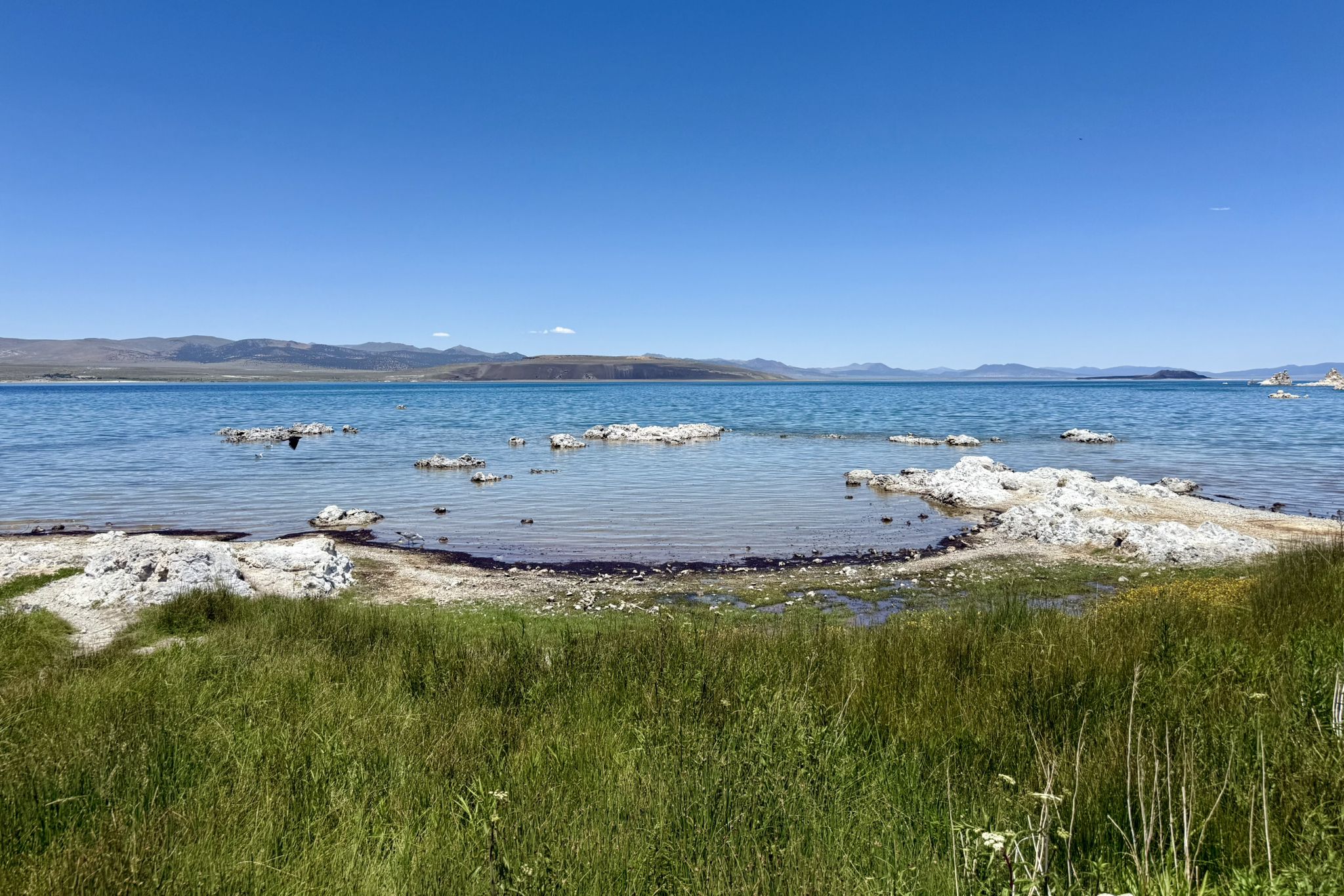 A clear blue lake with white rock formations, framed by green grass and distant mountains. - Mono Lake Trail