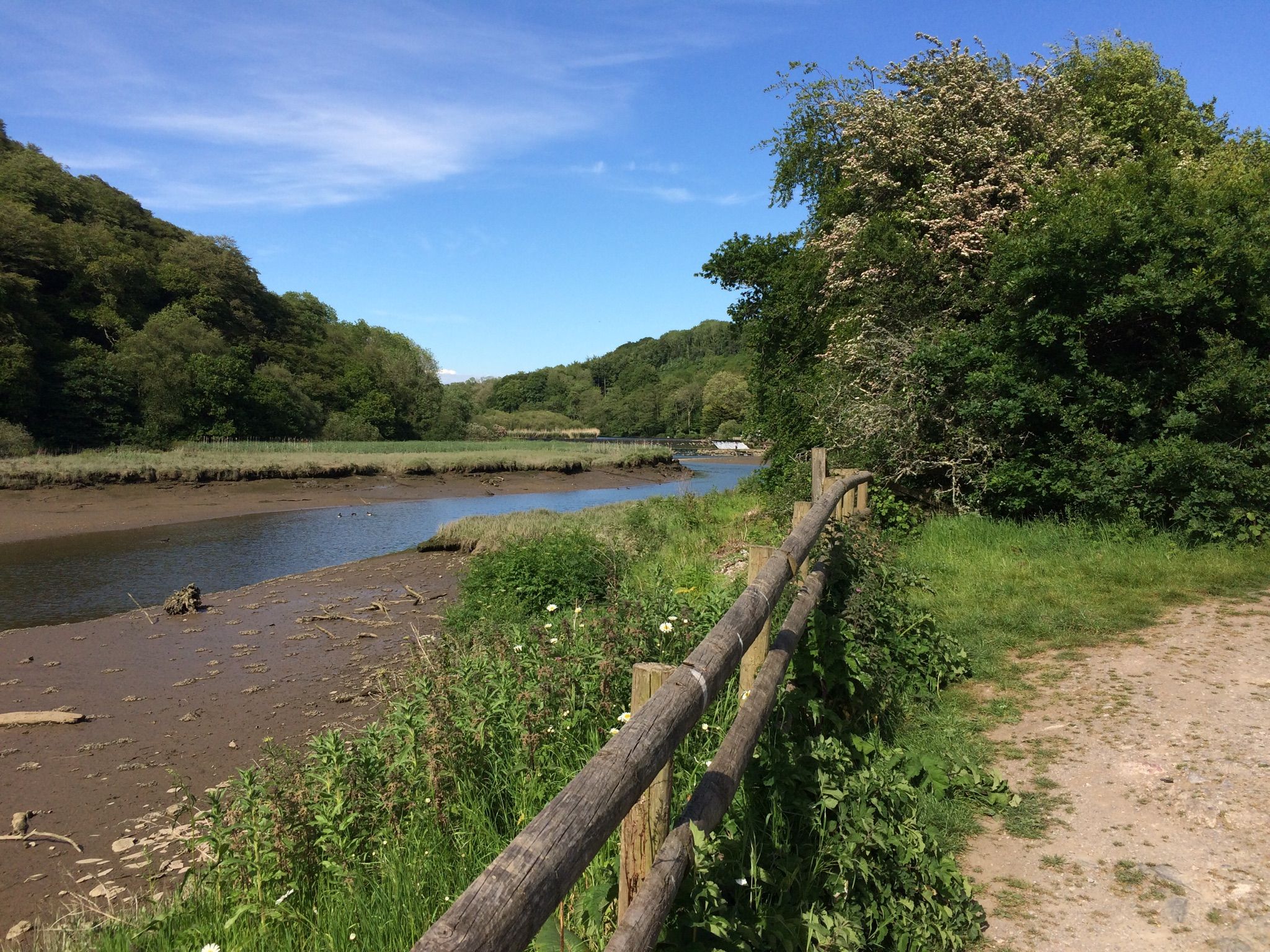 River Tavy