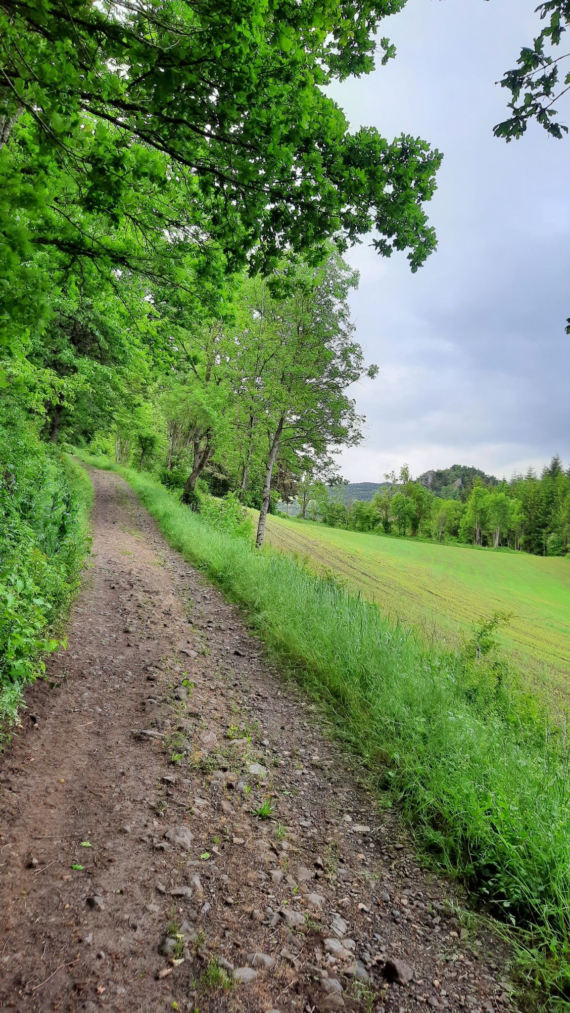 chemin de raccourci vers Monastier