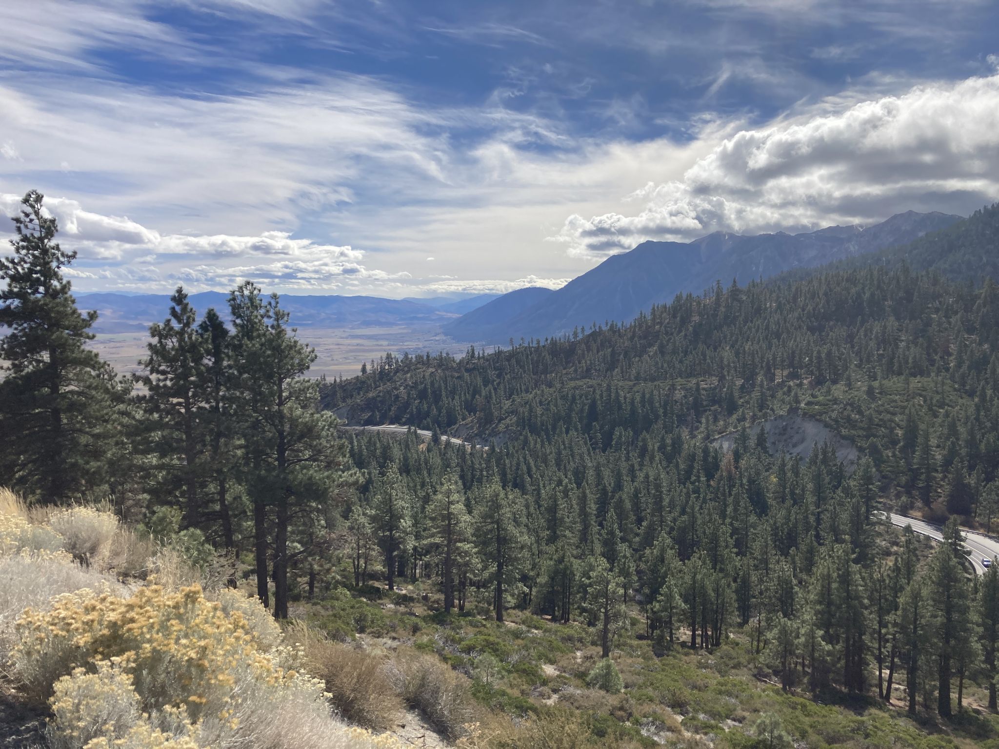 Expansive view of a dense pine forest covering rolling mountains and a valley. - Rabe Meadows Preserve – South Lake Tahoe Beach loop from Stateline