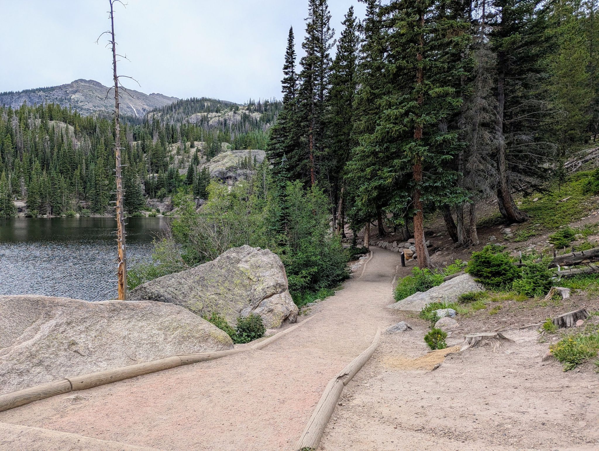 A dirt path winds beside a lake, surrounded by pine trees and rocks. - Alberta Falls – Bear Lake loop from Dream Lake