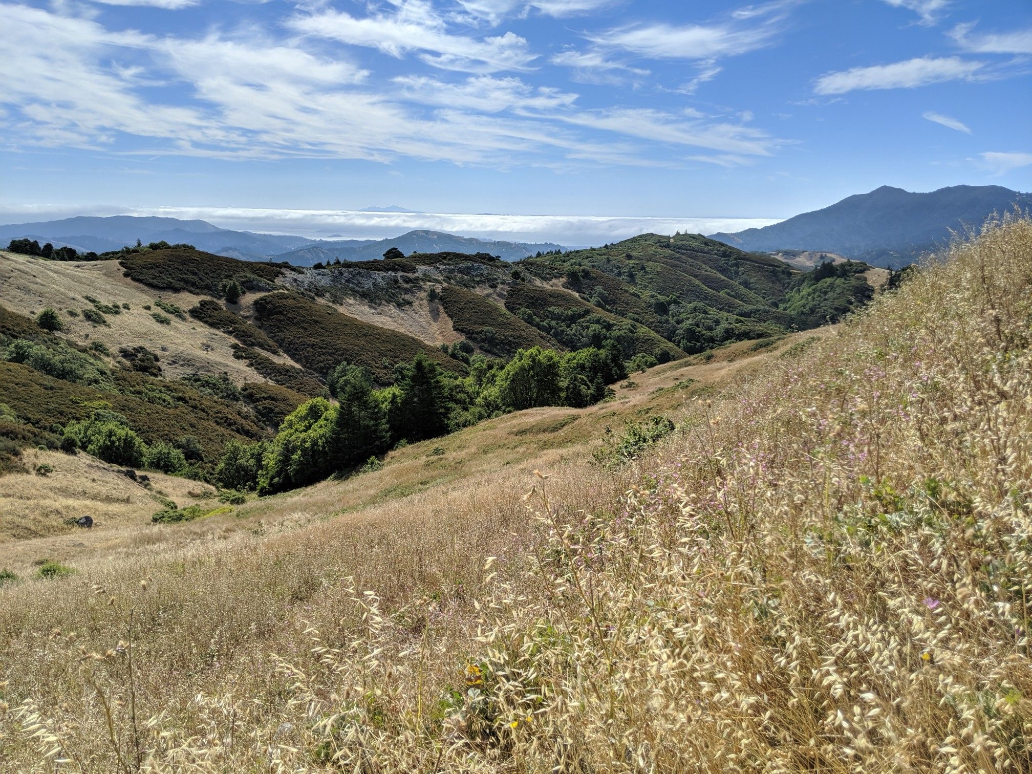 Rolling golden hills under a bright blue sky with distant mountains. - Cascade Fire Road – Gestalt Haus loop from Fairfax
