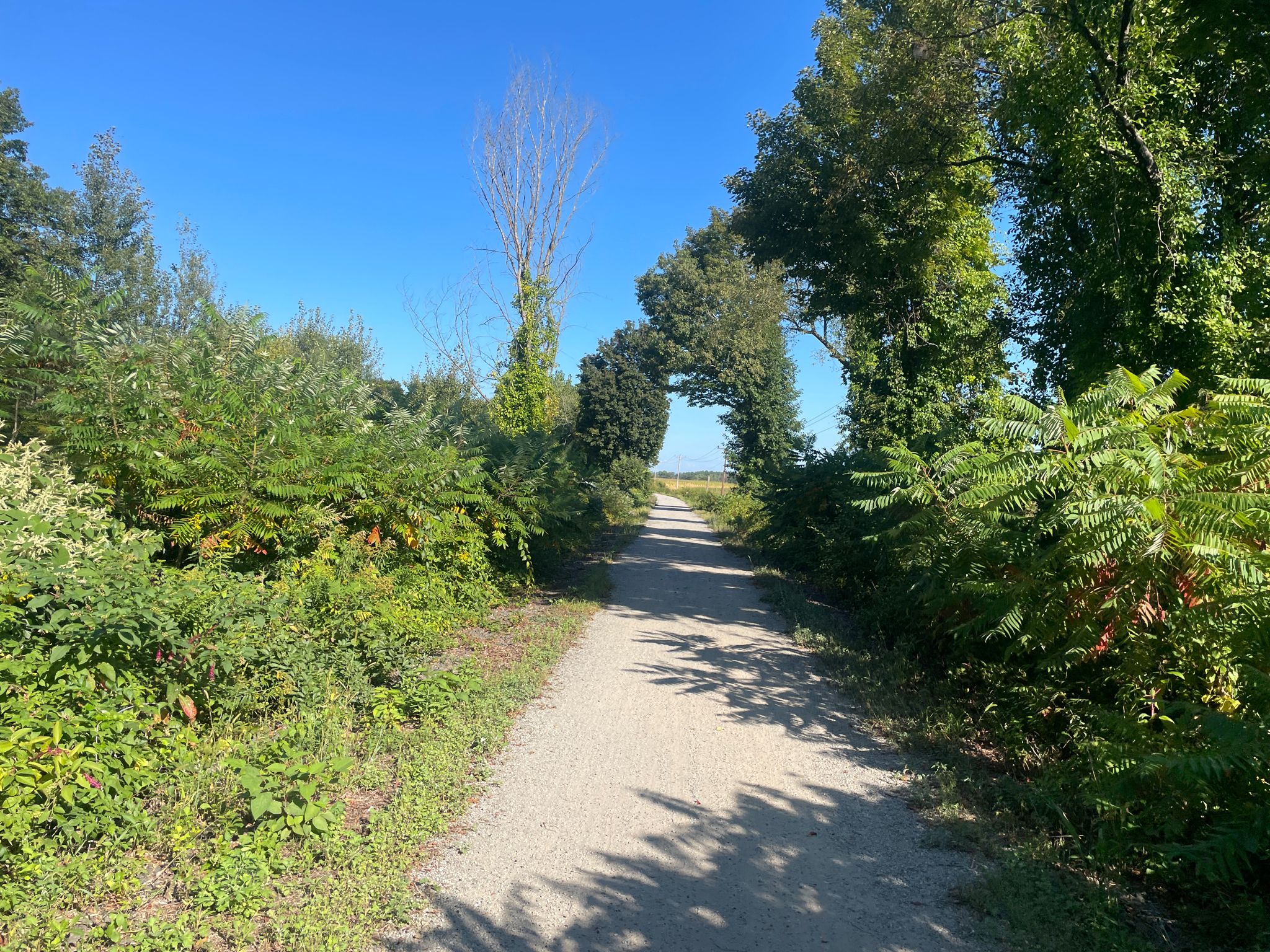 A gravel path through an archway of green trees on a sunny day. - Hannah Duston Memorial – Contoocook covered bridge loop from Farnum Street (inbound)
