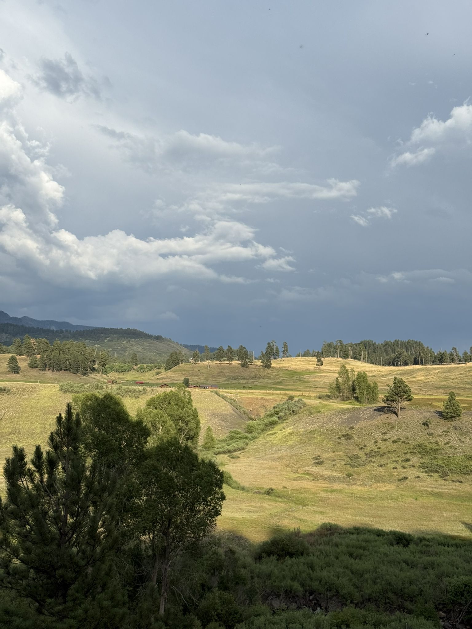 Rolling green and golden hills under a dramatic, cloudy sky. - Piedra Ice Fissures Trail