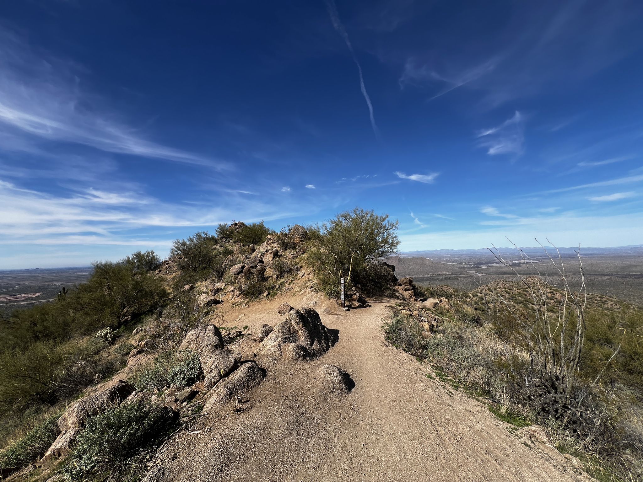 Desert trail winding up a rocky hill under a bright blue sky. - Hawes Trail System Loop
