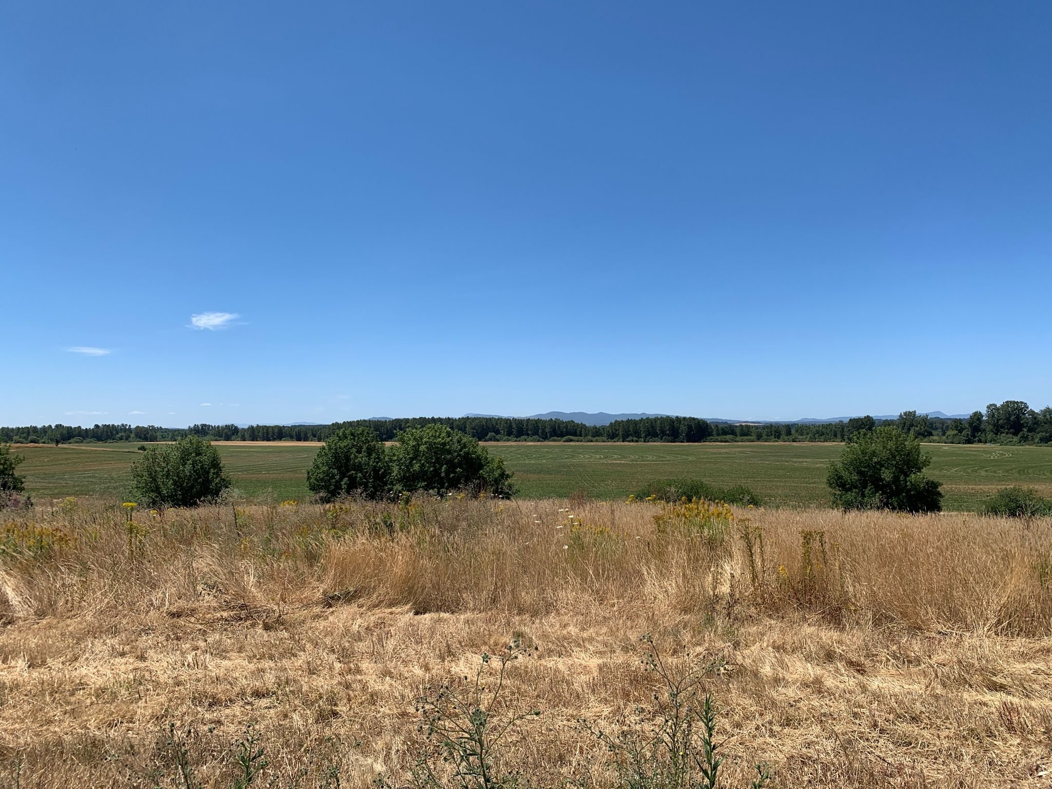Expansive green and dry fields stretch under a bright blue sky. - Oregon State Capitol Park loop from Salem