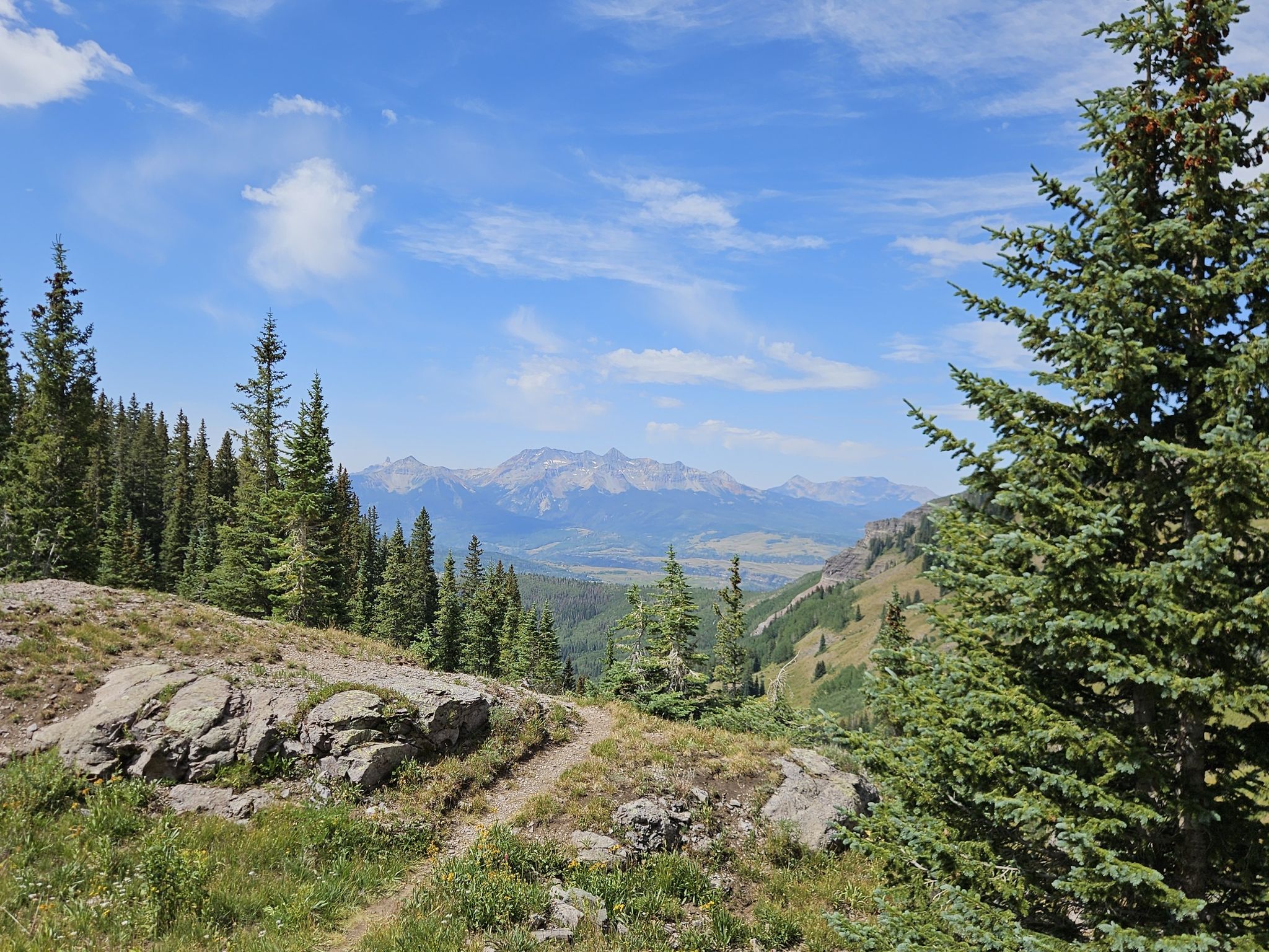 A dirt path leads through a pine forest to distant mountains under a blue sky. - Sneffels Highline Trail Loop