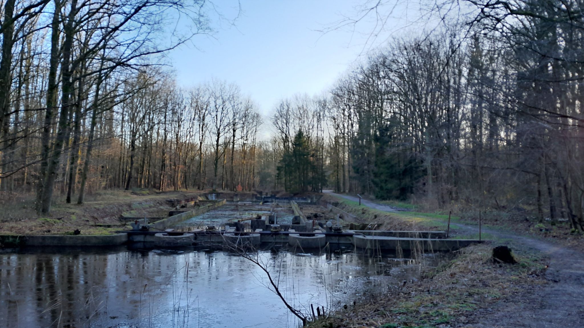 Waterloopbos
