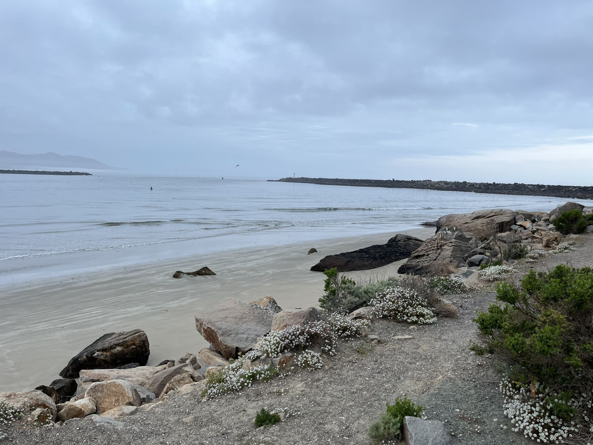 Overcast day on a sandy beach with rocks and calm ocean. - Morro Bay Harbor and Estuary