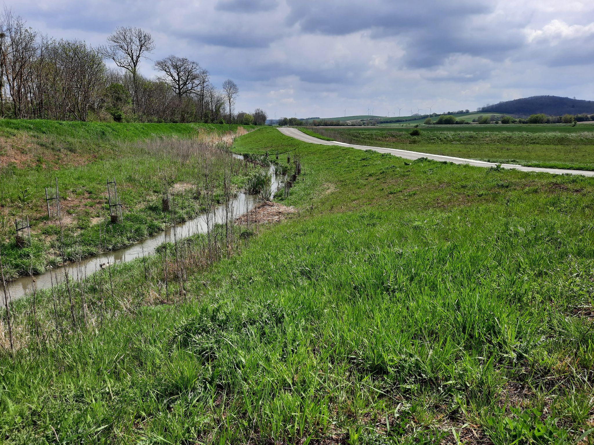Radweg entlang der Zaya