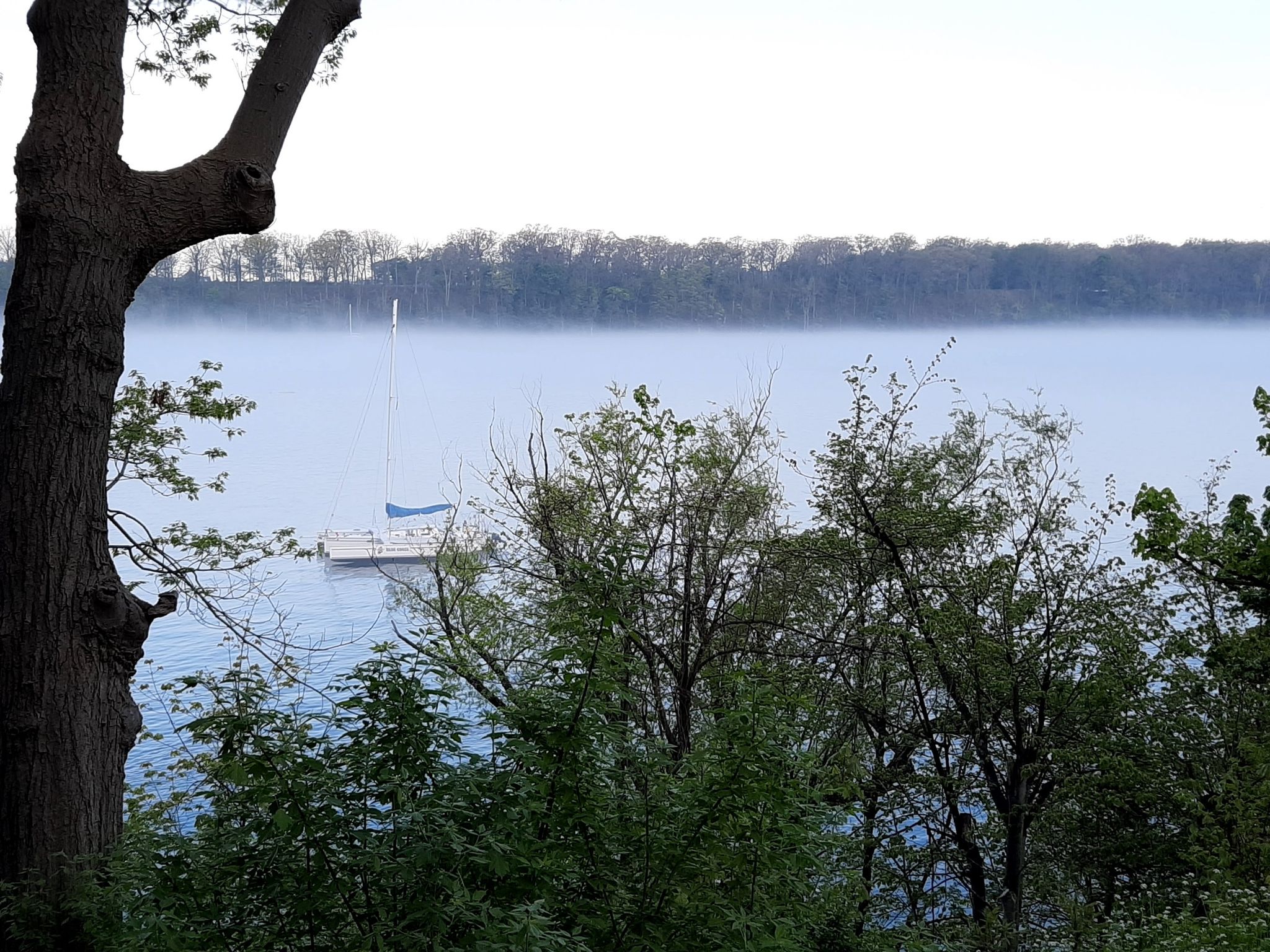 Misty river