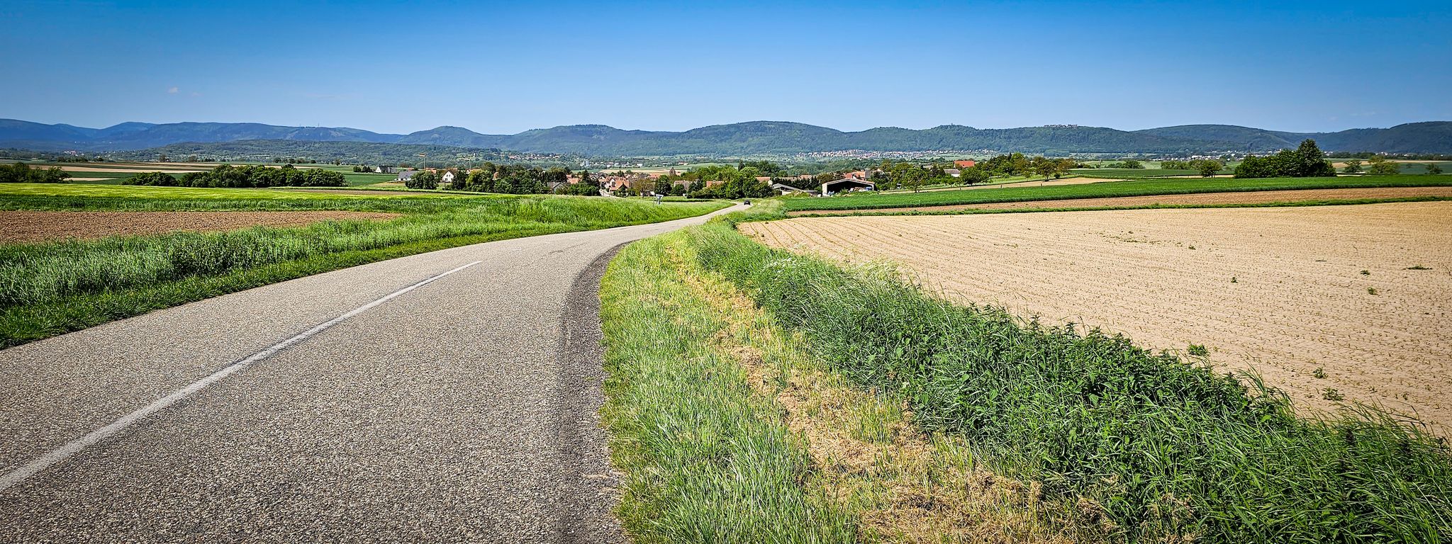 Kurz vor Schwenheim, Vogesen in Sicht
