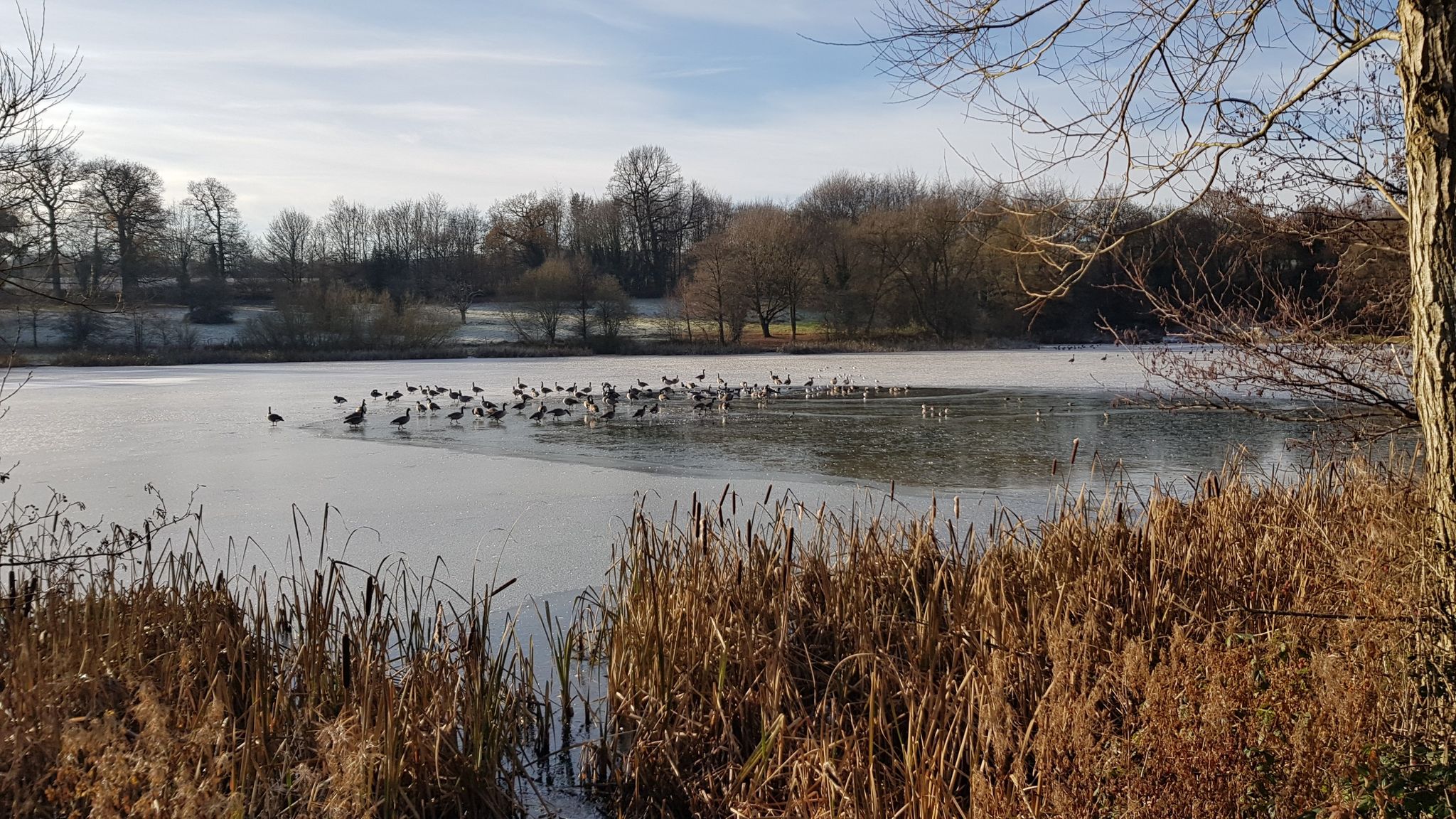 Miller's Pond-Hardwick Park