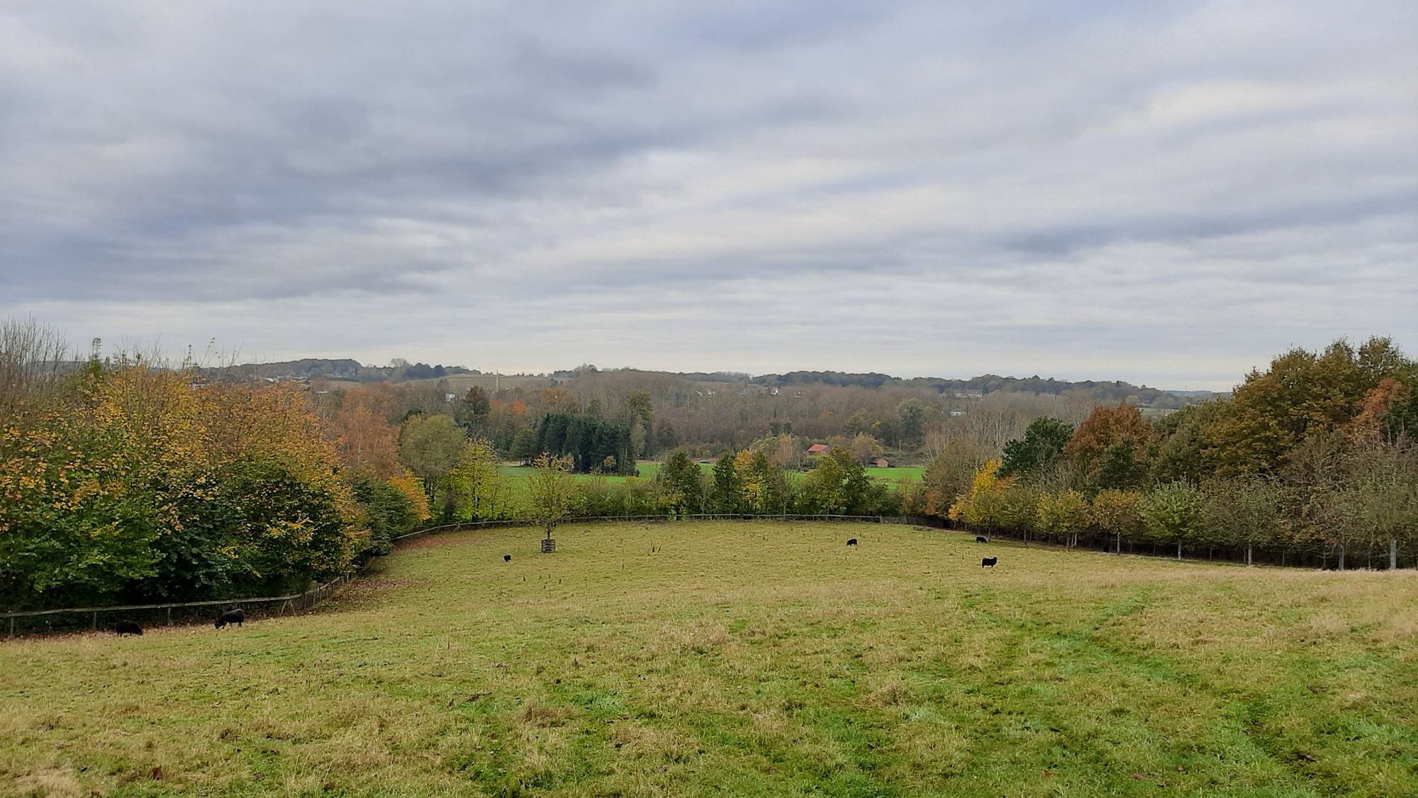 panorama..