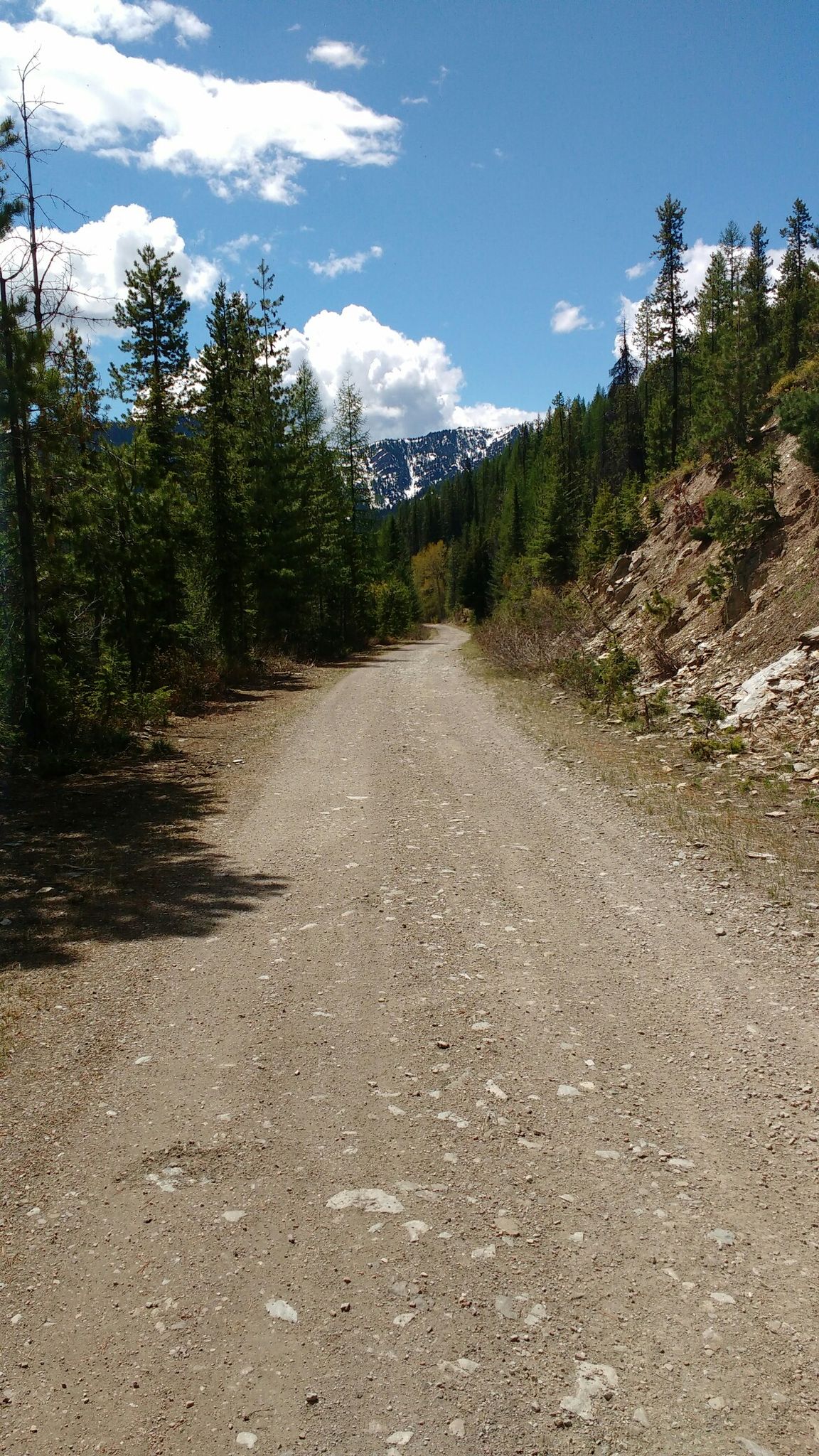 North Pac Trail