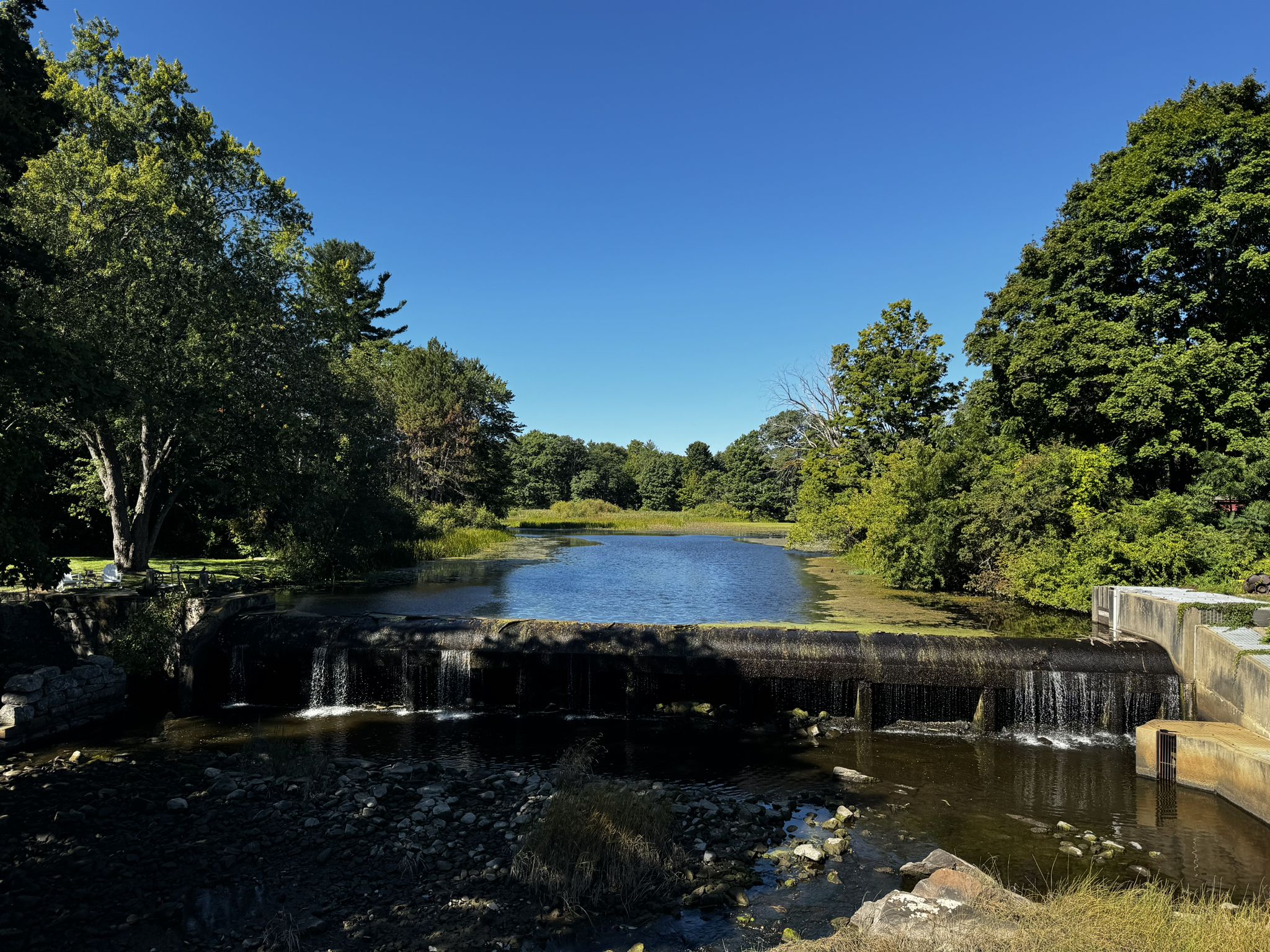 A small waterfall flows from a pond surrounded by green trees under a clear sky. - Newmarket to Mill Pond Park via Linn Ponds