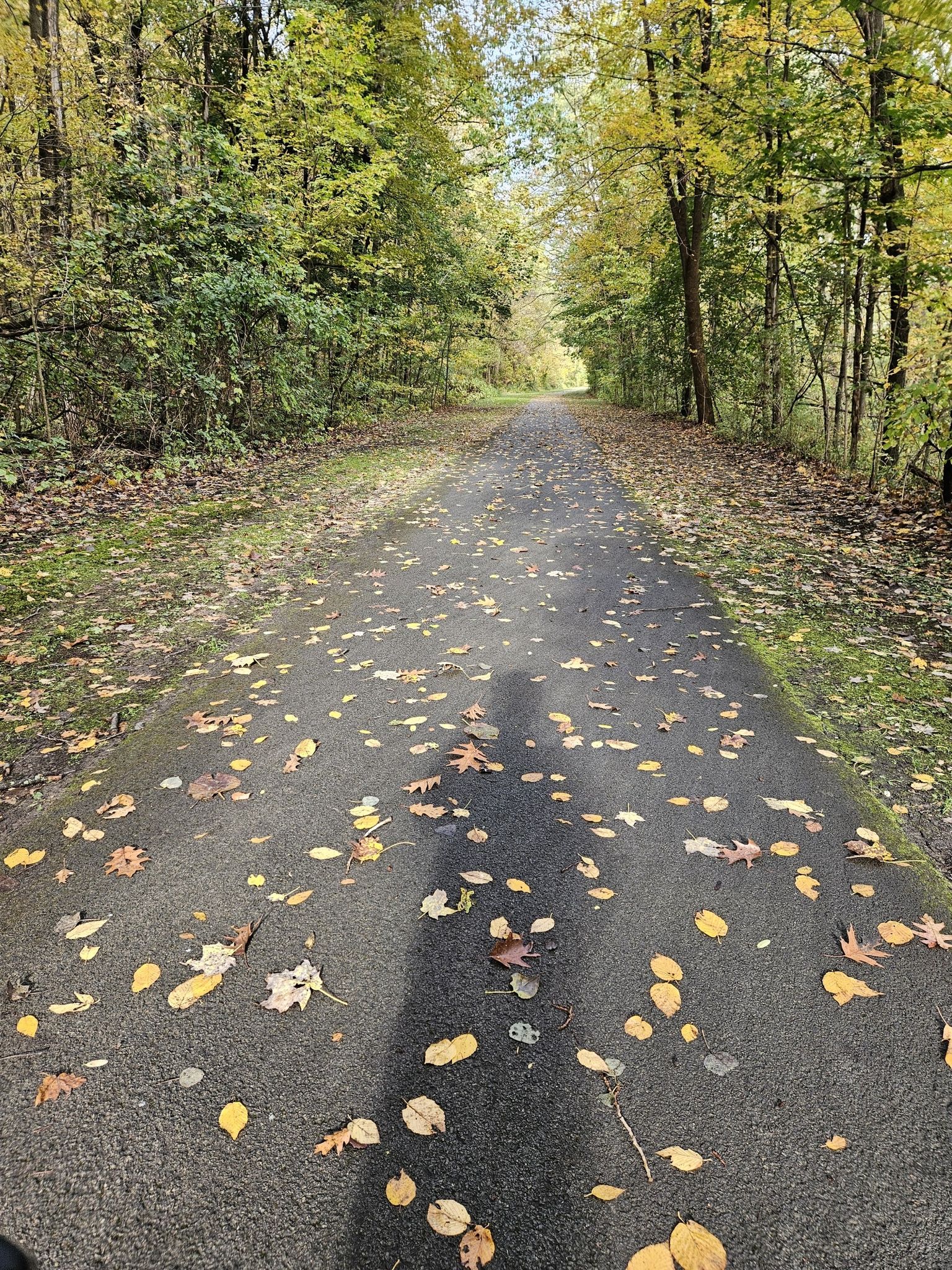 Had the whole trail to myself