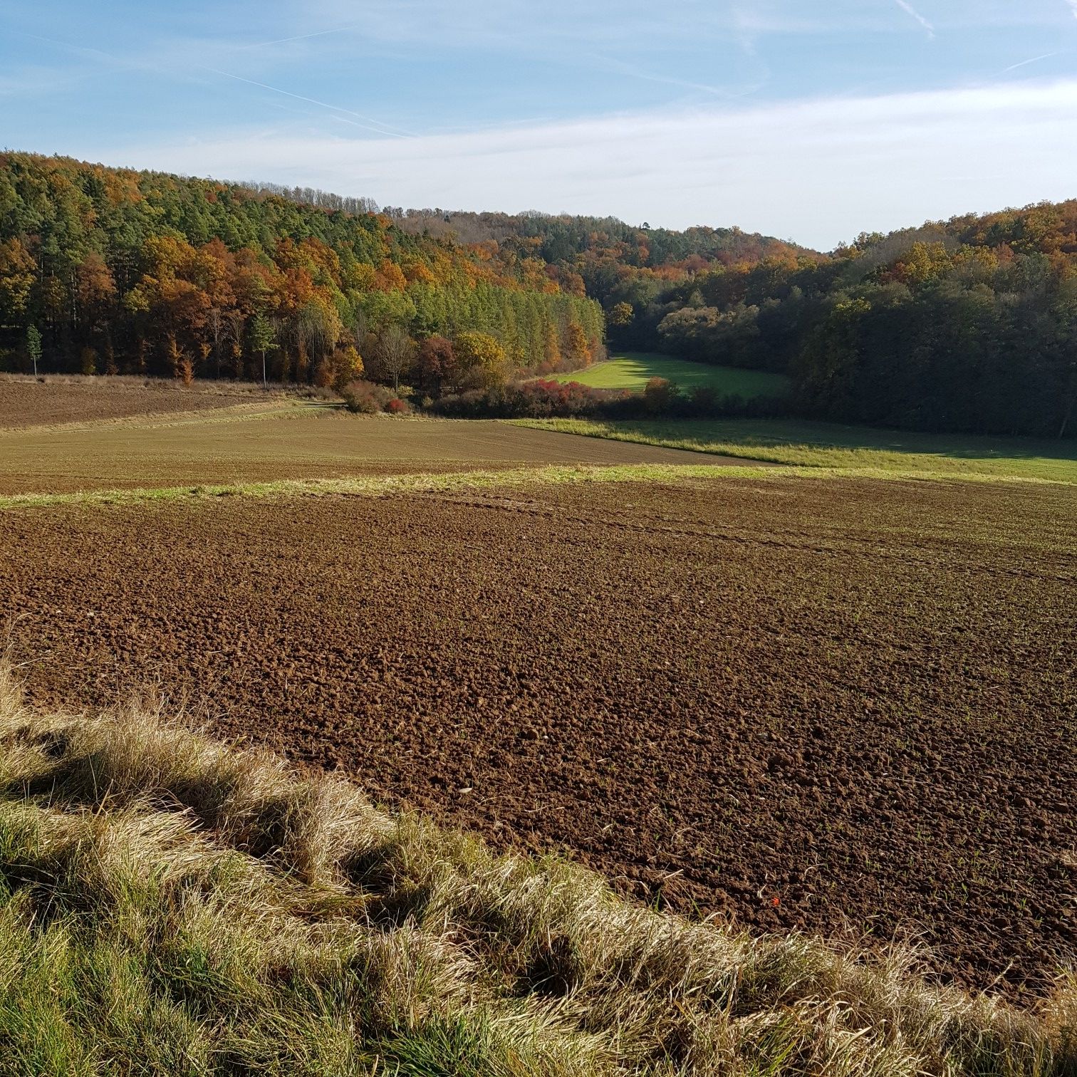 Ransbachtal