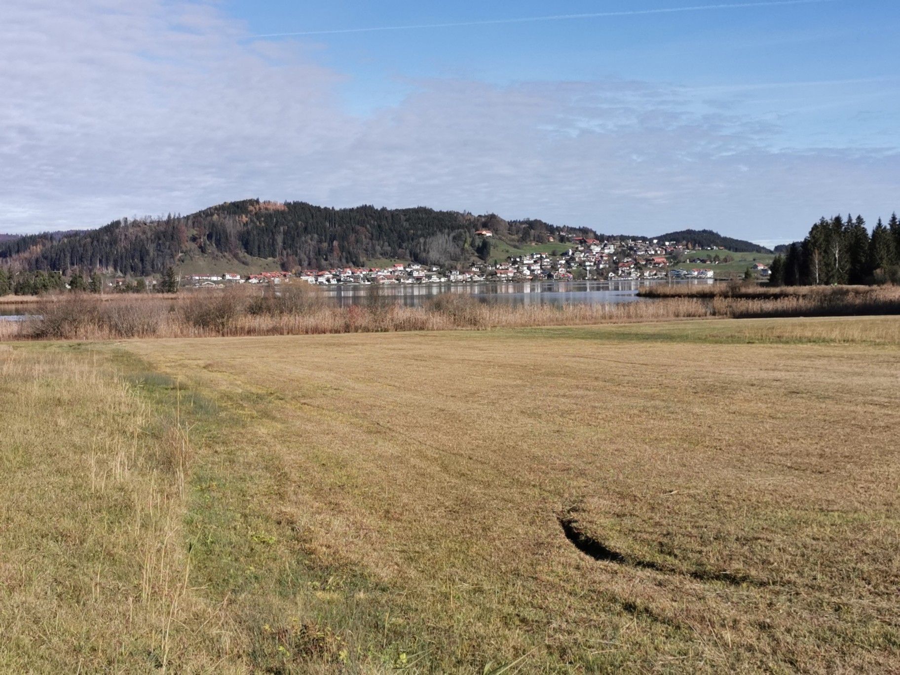 Nach der Hälfte Blick auf Hopfen am See und Burgruine