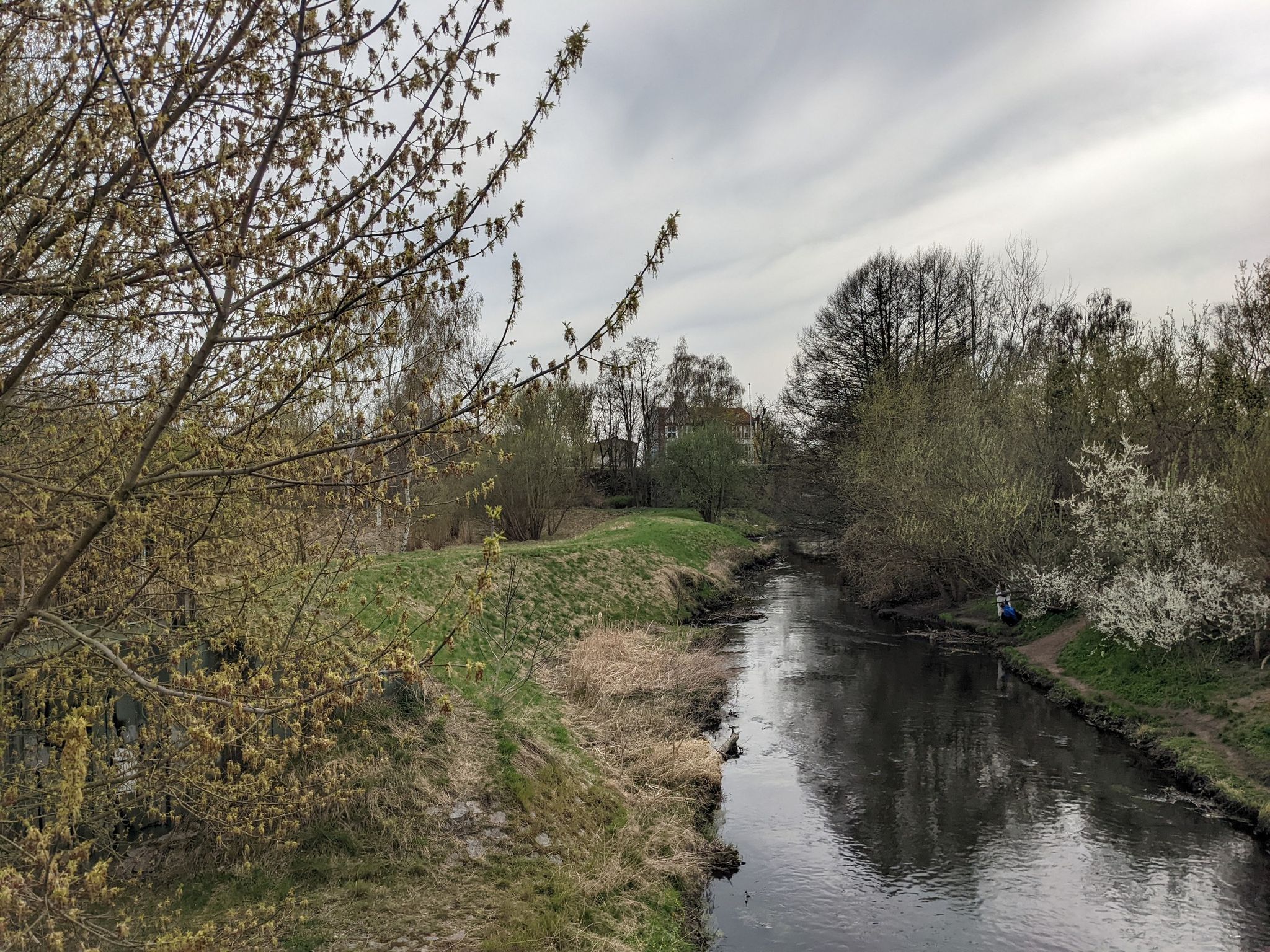 Bürgerpark an der Panke