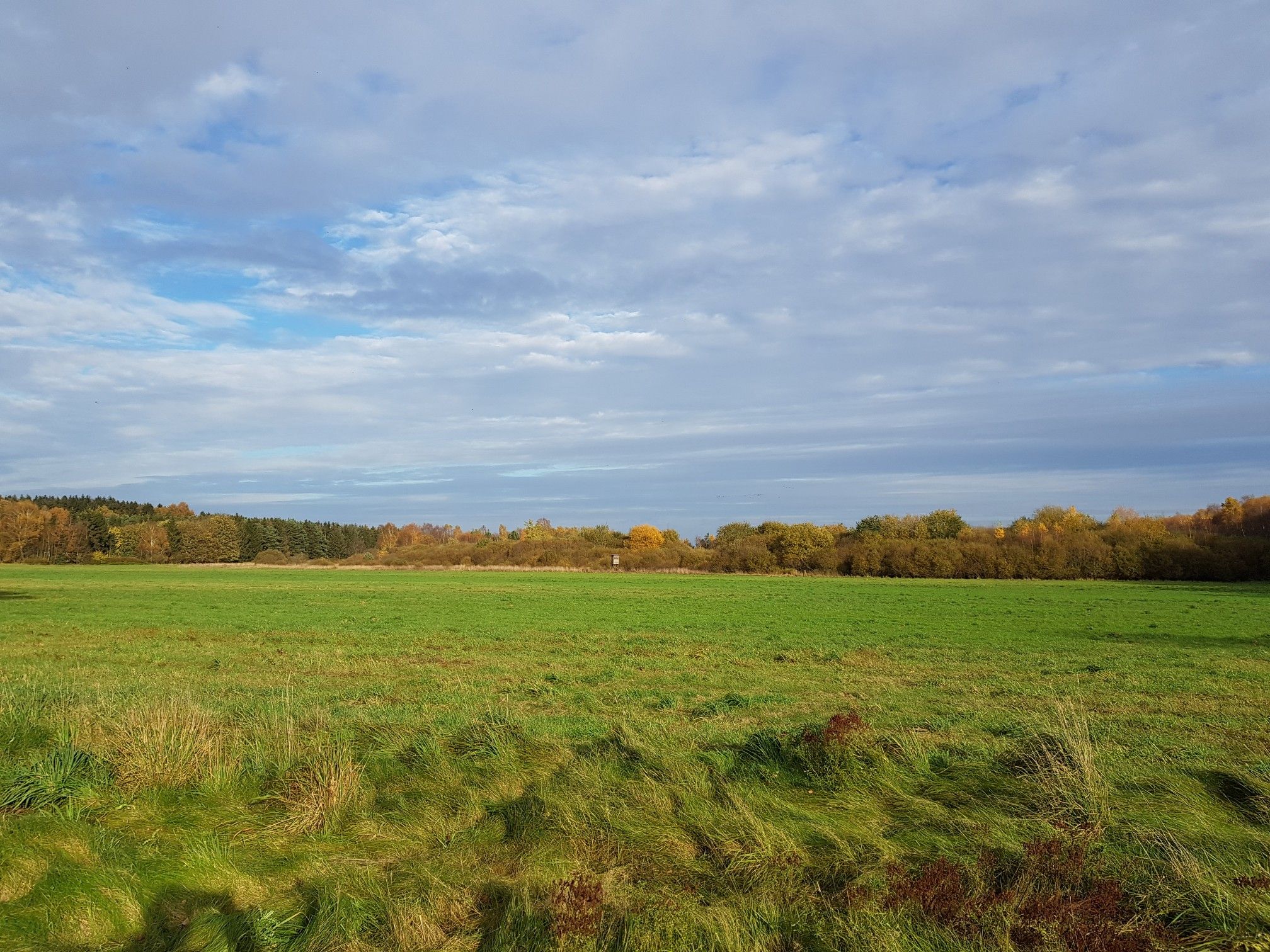 Herbst-Farben 