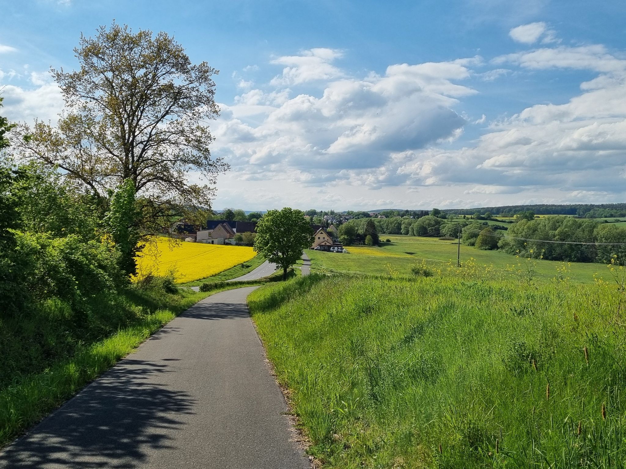 Zufahrt auf Schönbrunn im Steigerwald